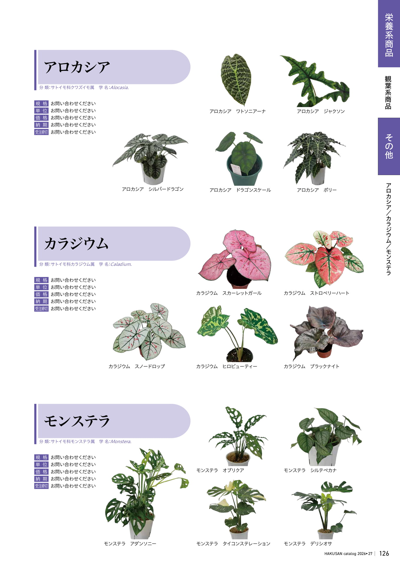 Page 127（127ページ目）