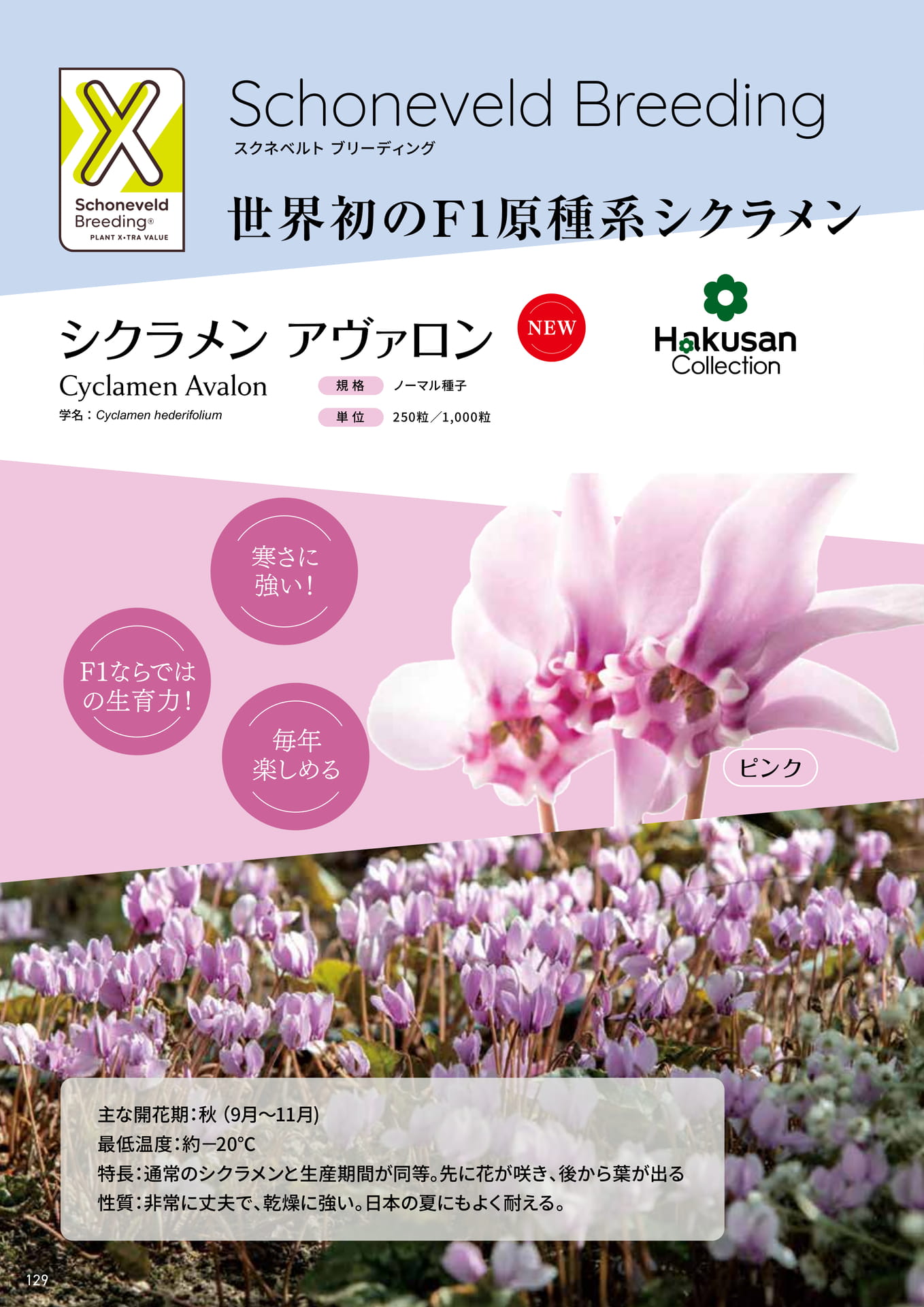 Page 130（130ページ目）