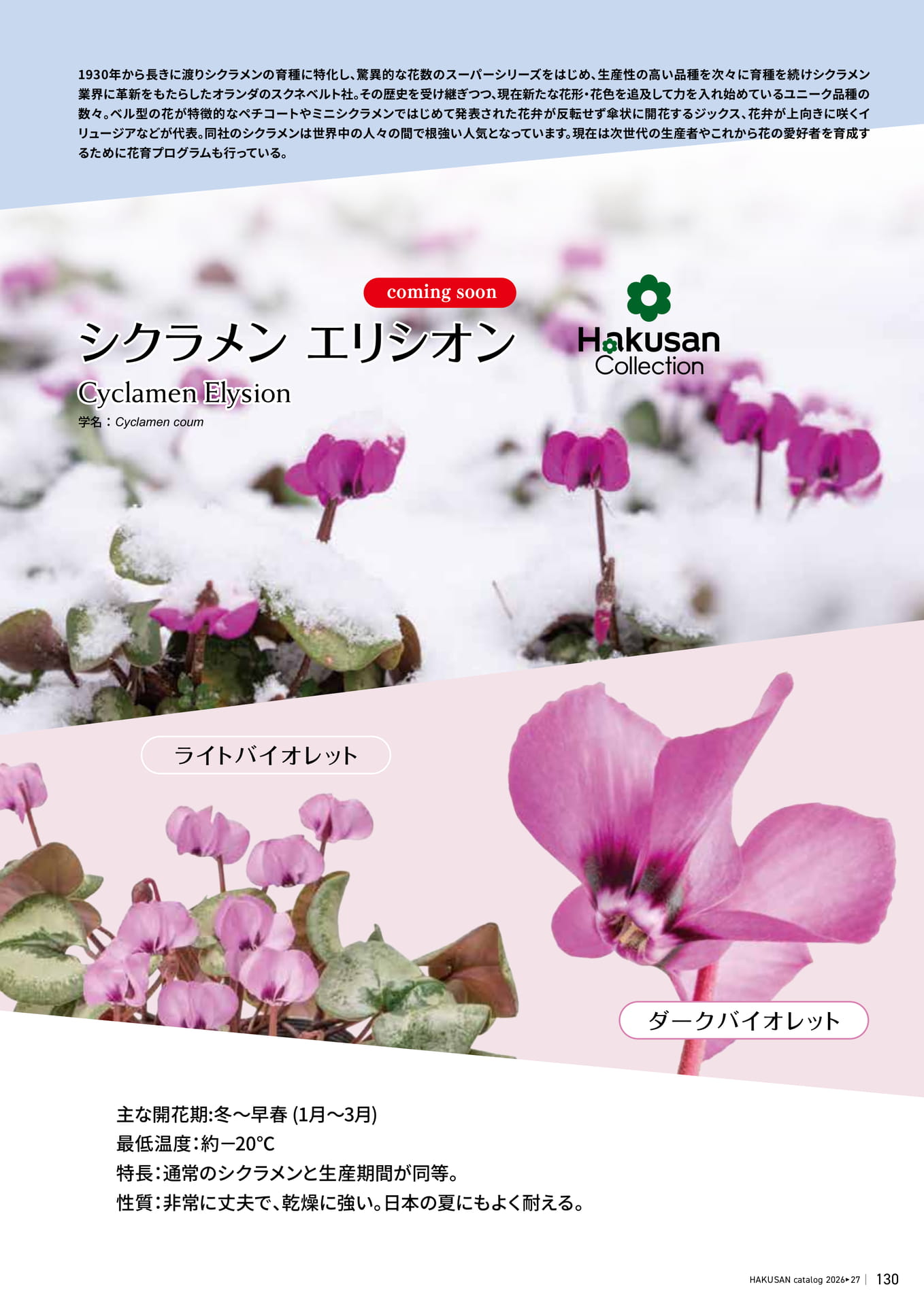 Page 131（131ページ目）