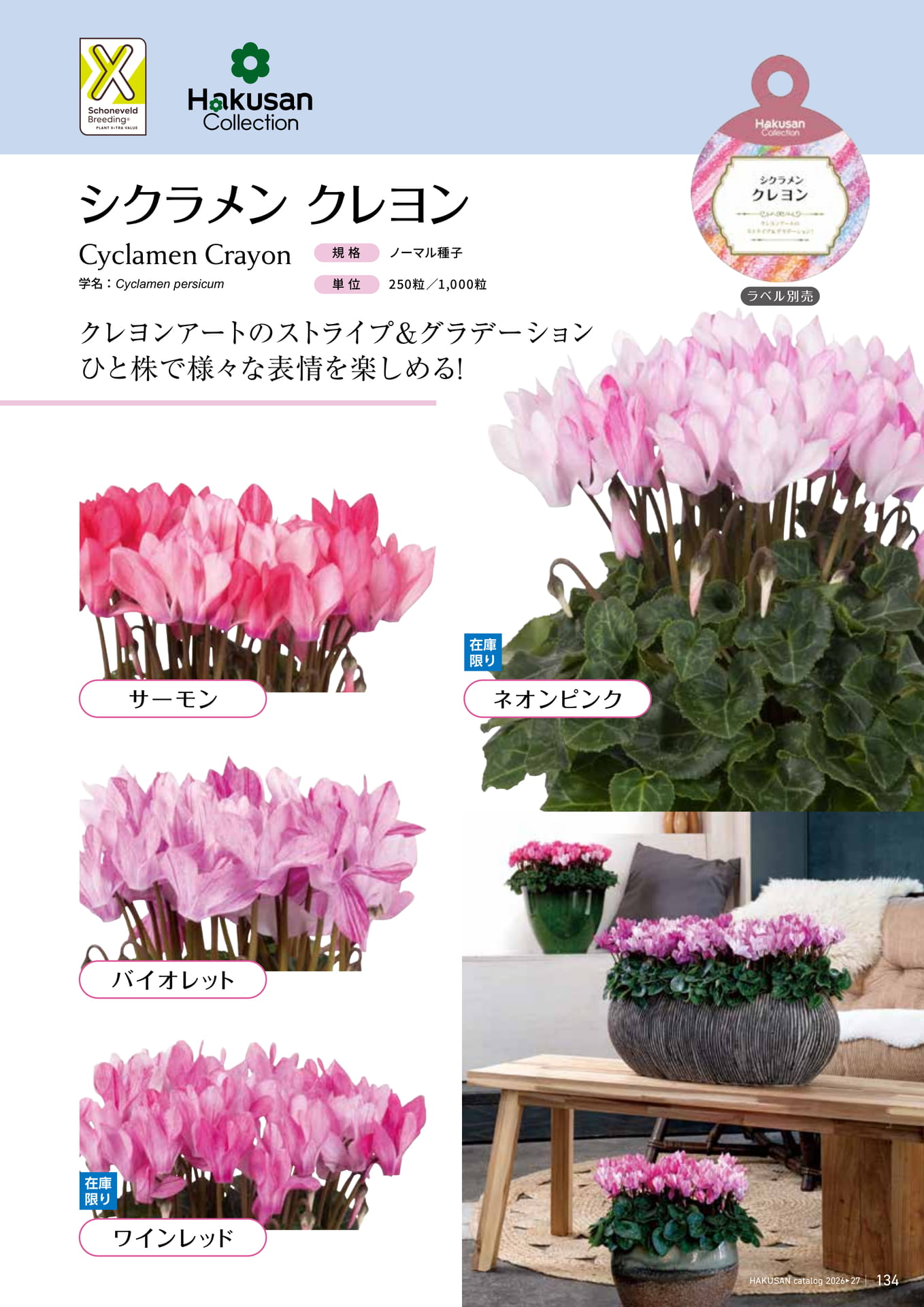 Page 135（135ページ目）