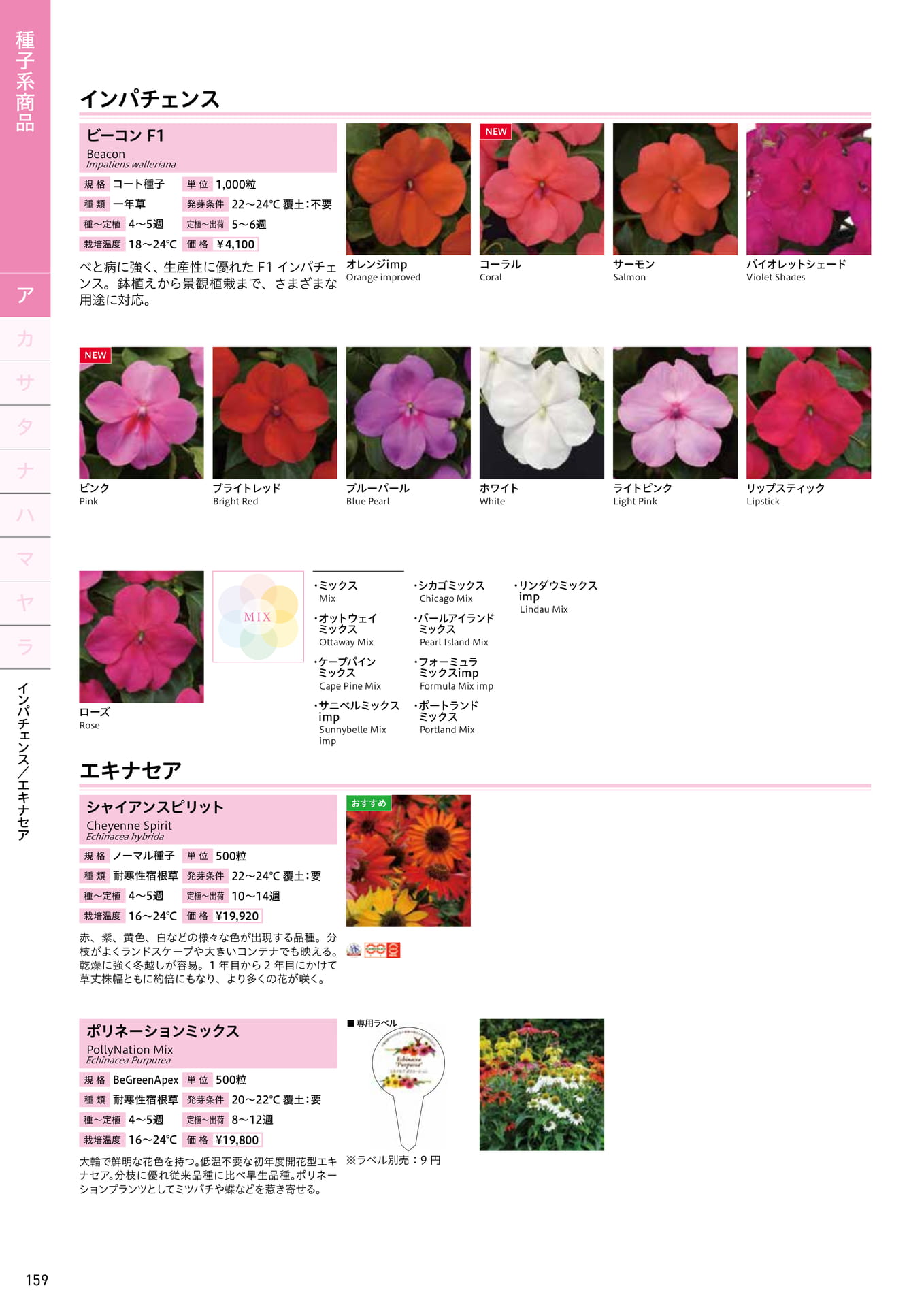 Page 160（160ページ目）
