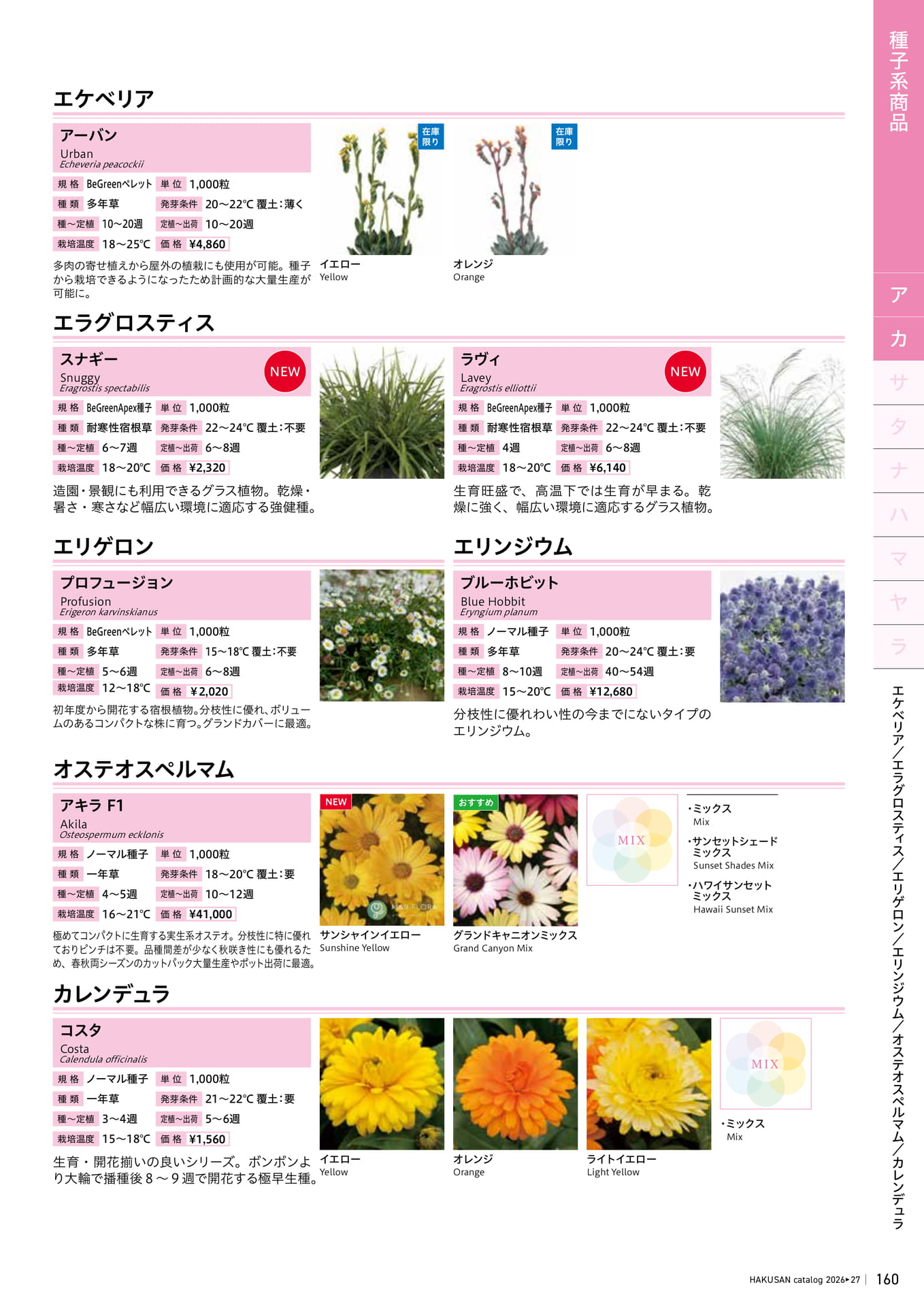 Page 161（161ページ目）