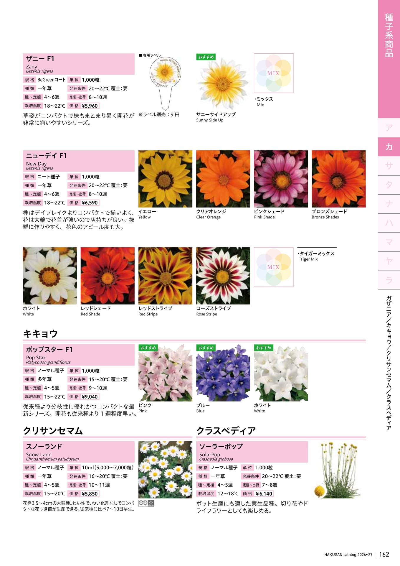 Page 163（163ページ目）