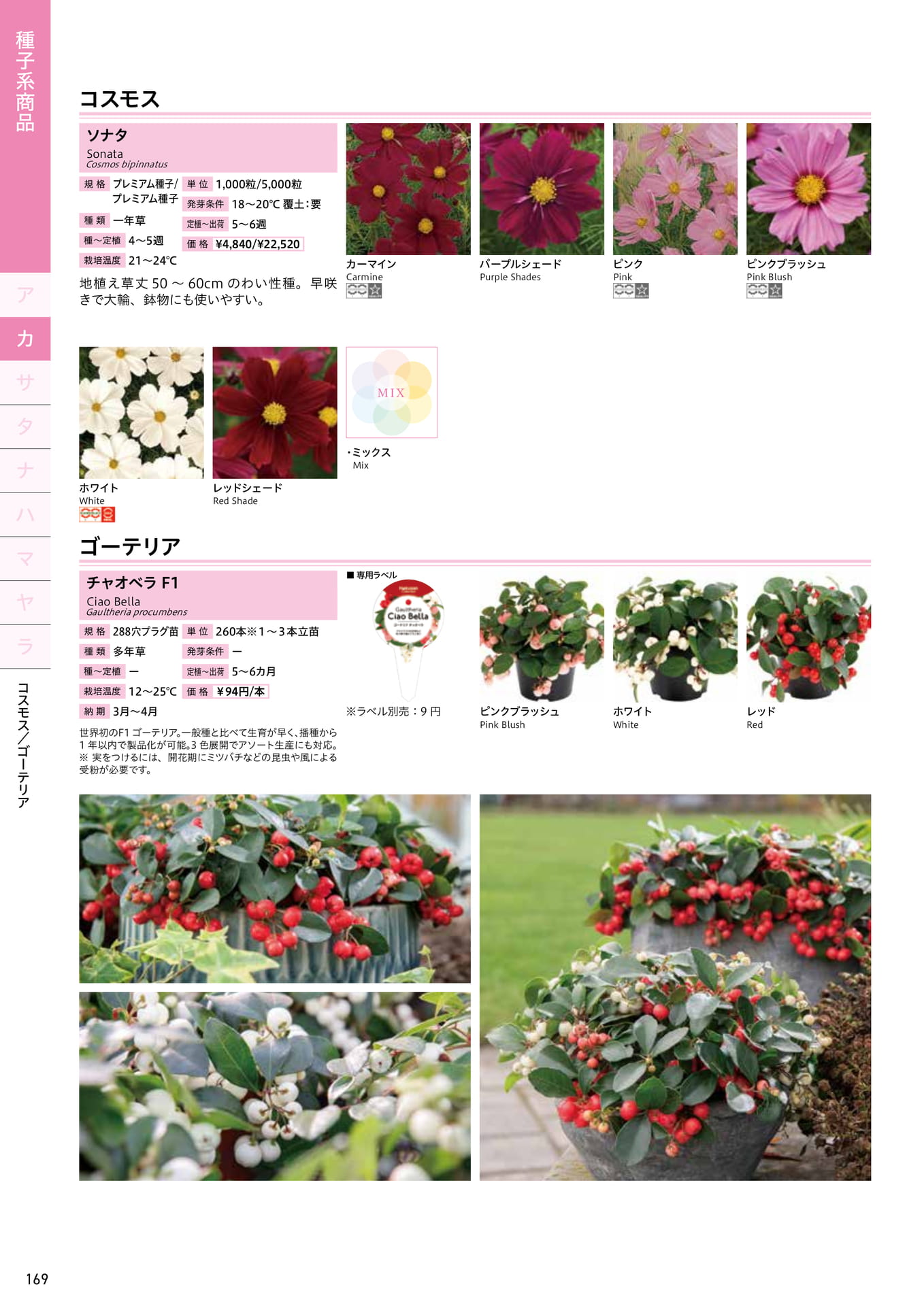 Page 170（170ページ目）
