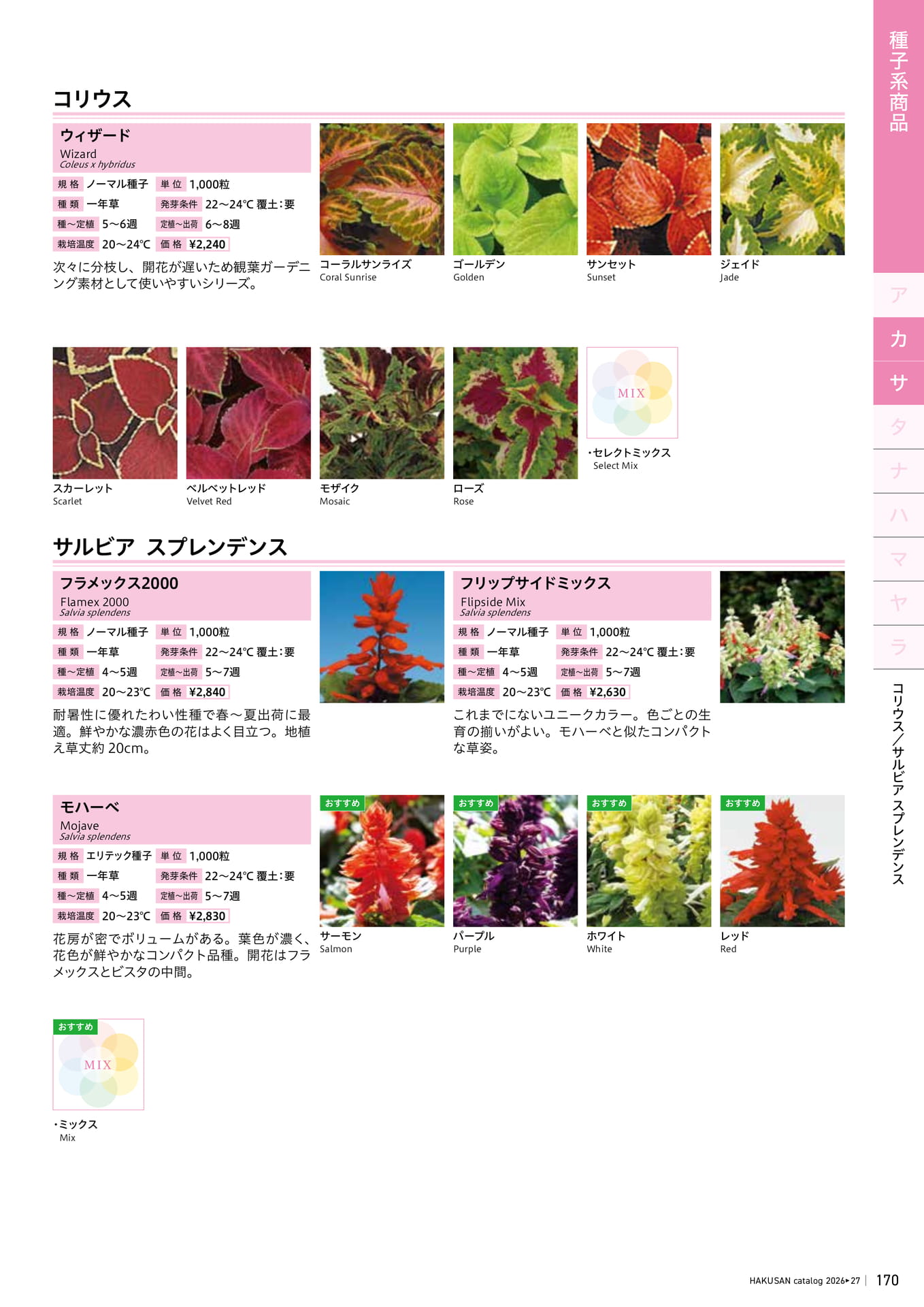 Page 171（171ページ目）