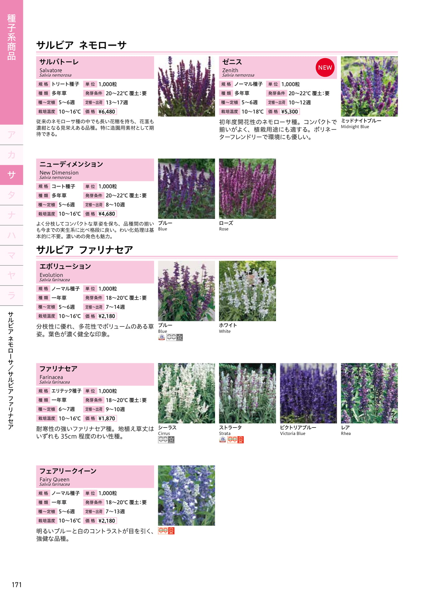 Page 172（172ページ目）