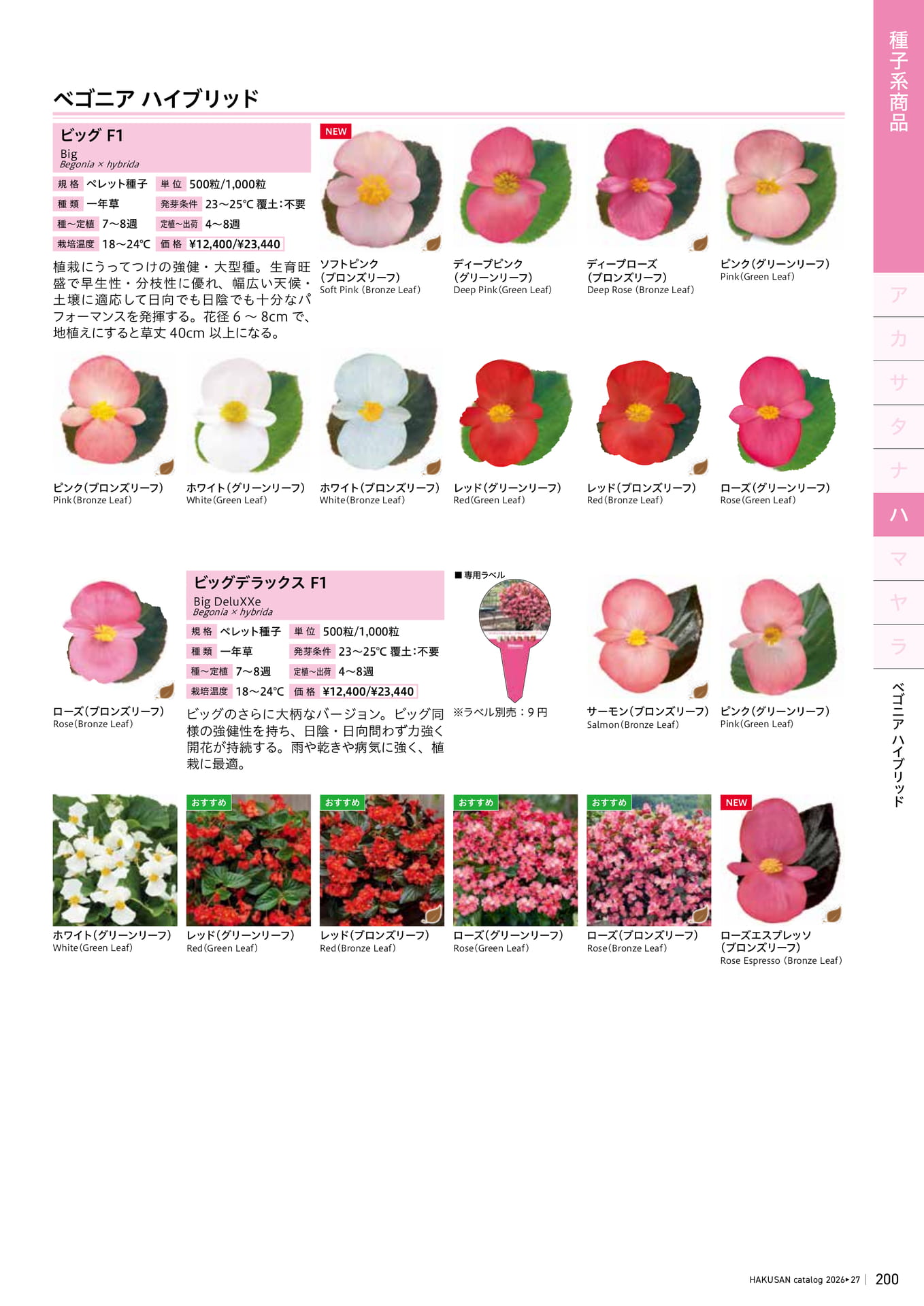Page 201（201ページ目）