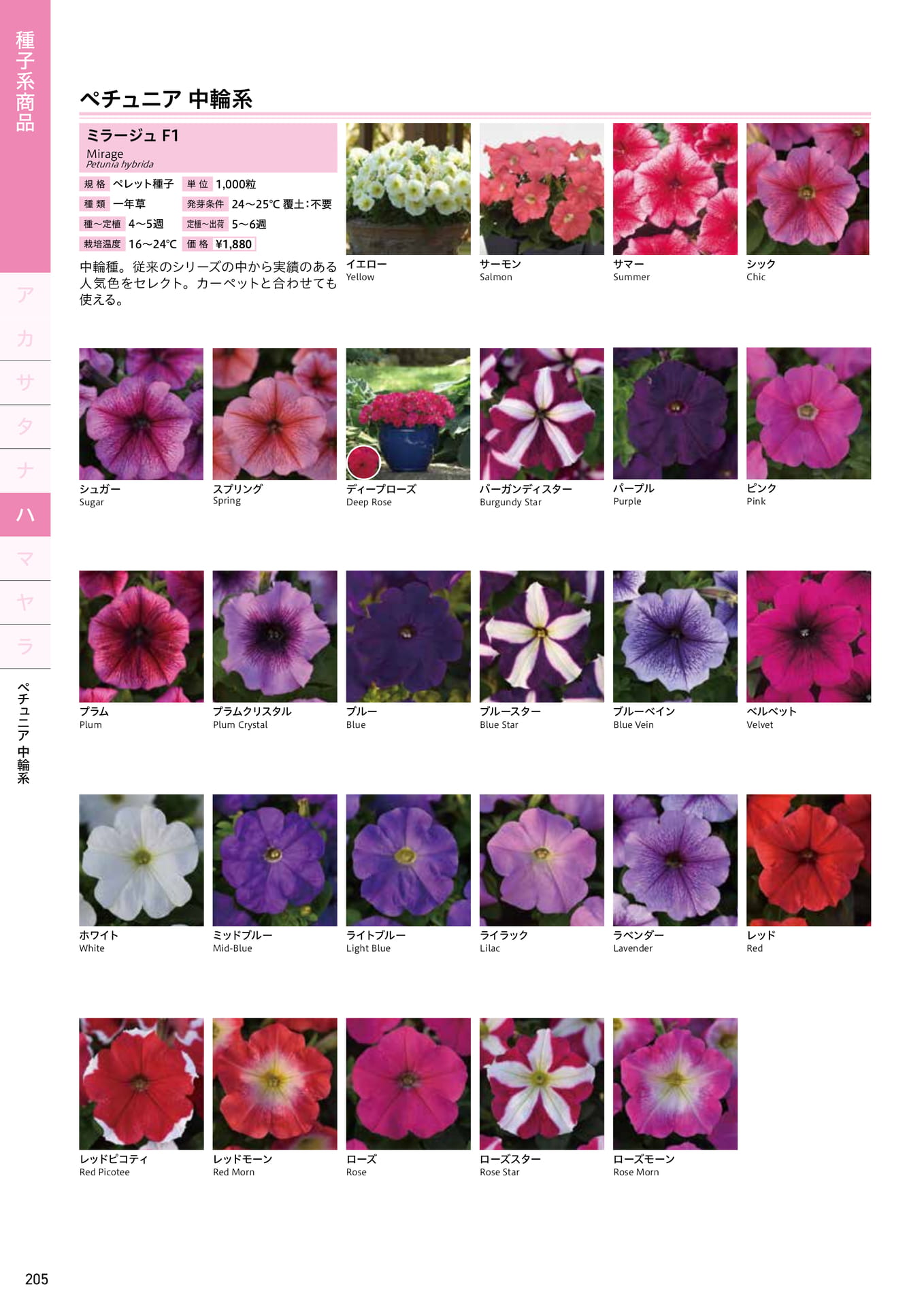 Page 206（206ページ目）