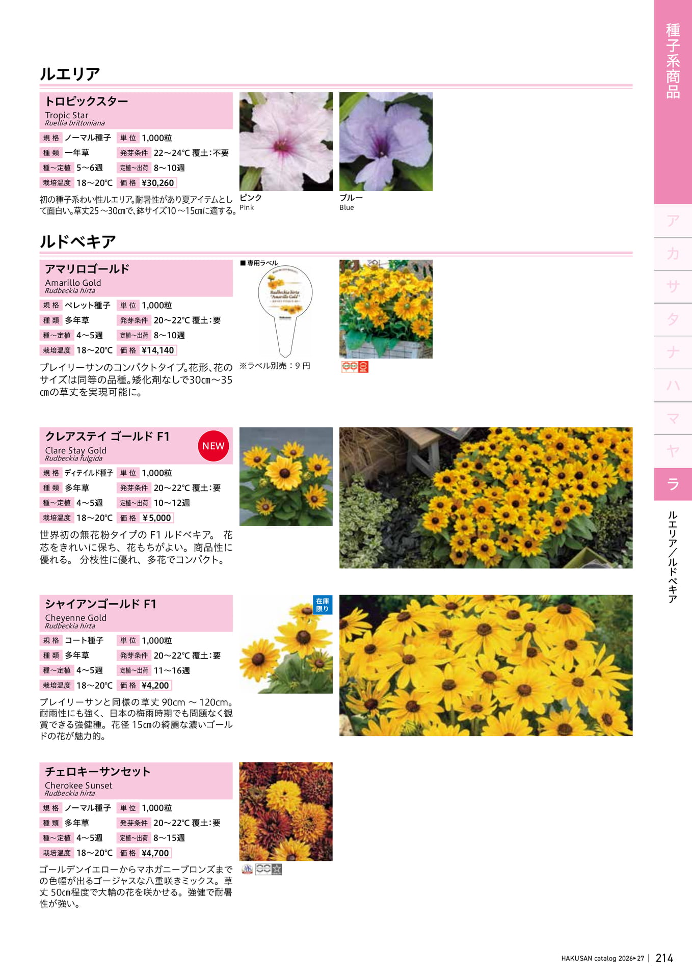 Page 215（215ページ目）