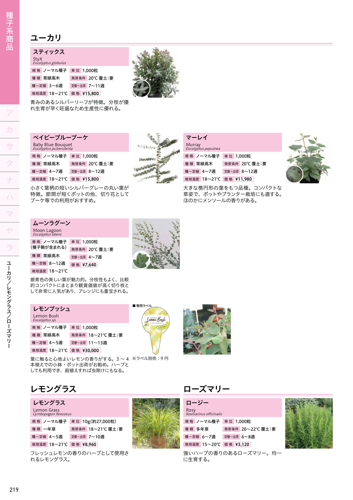 Page 220（220ページ目）