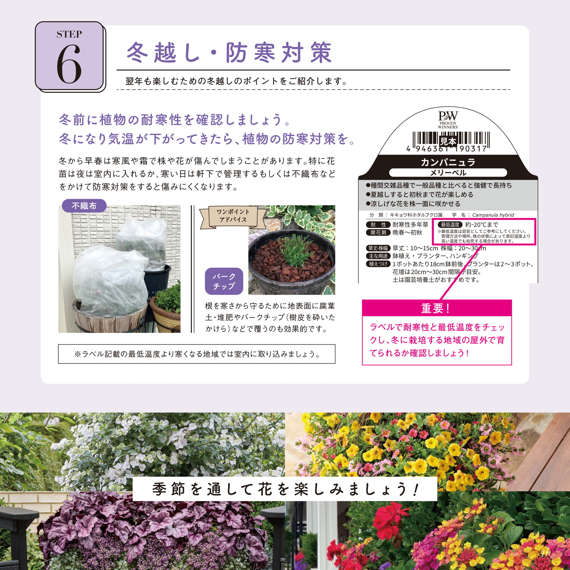 Page 11（11ページ目）