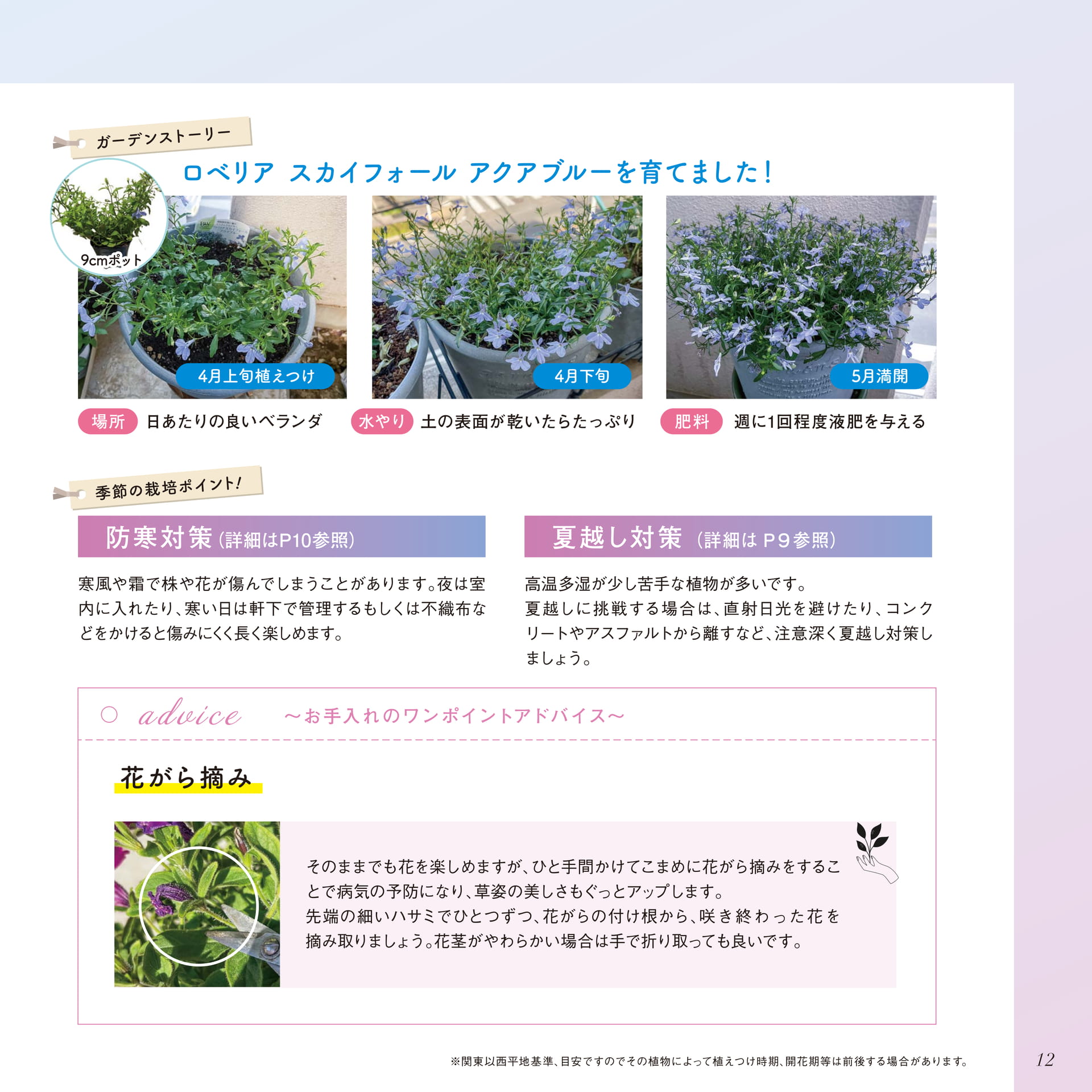 Page 13（13ページ目）