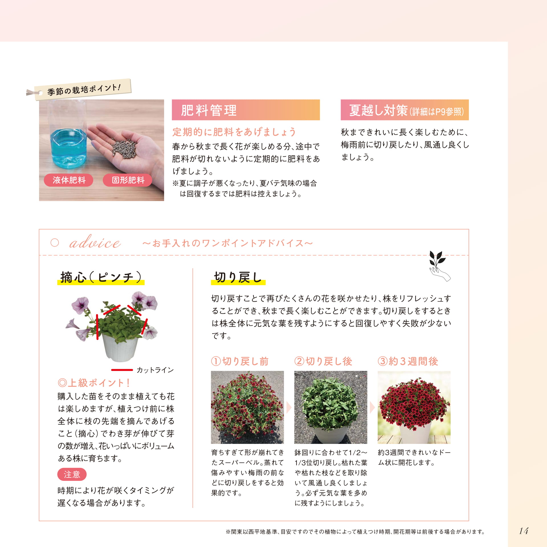 Page 15（15ページ目）