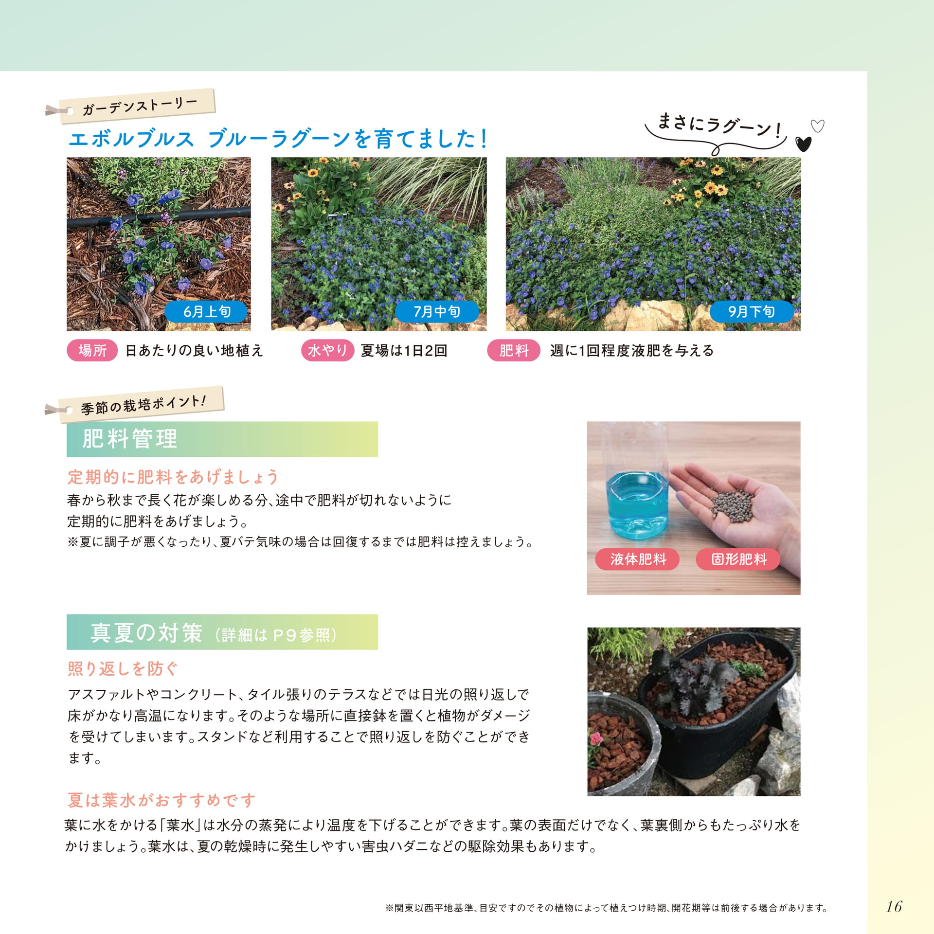 Page 17（17ページ目）