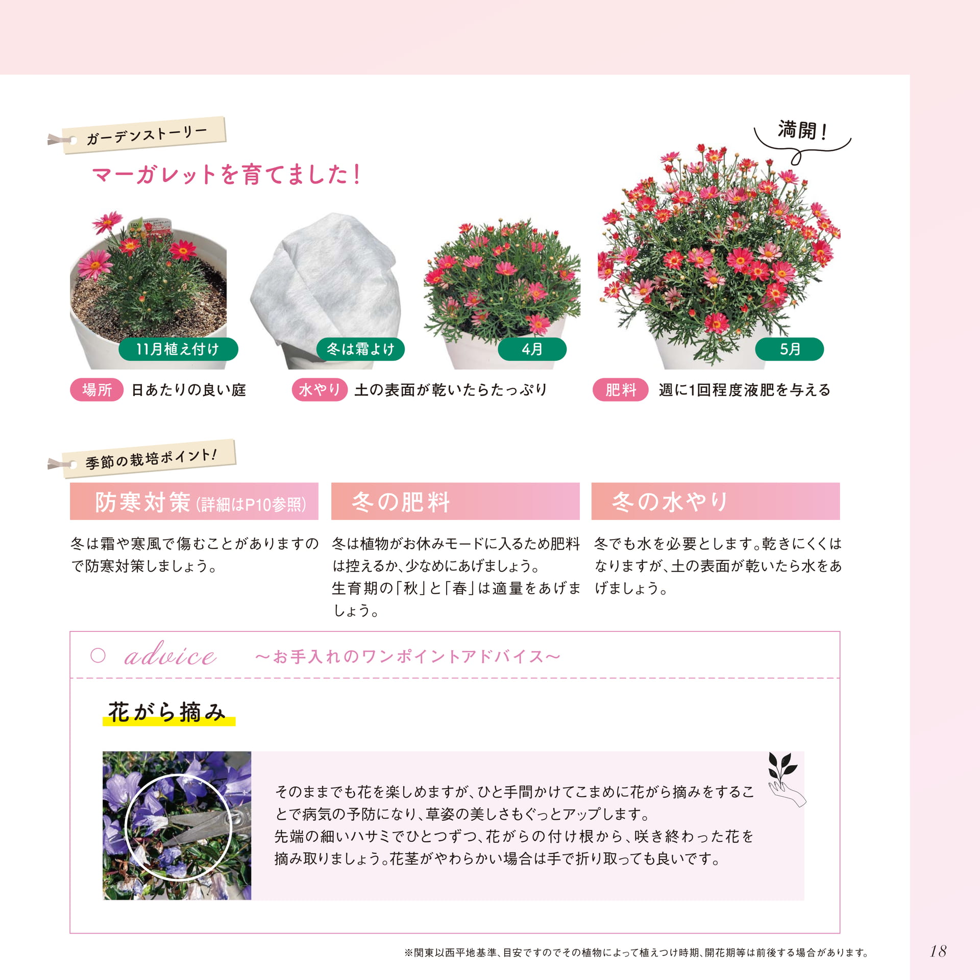 Page 19（19ページ目）