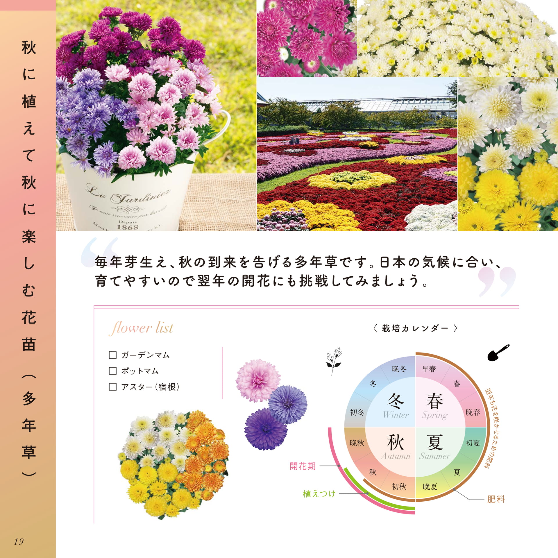 Page 20（20ページ目）
