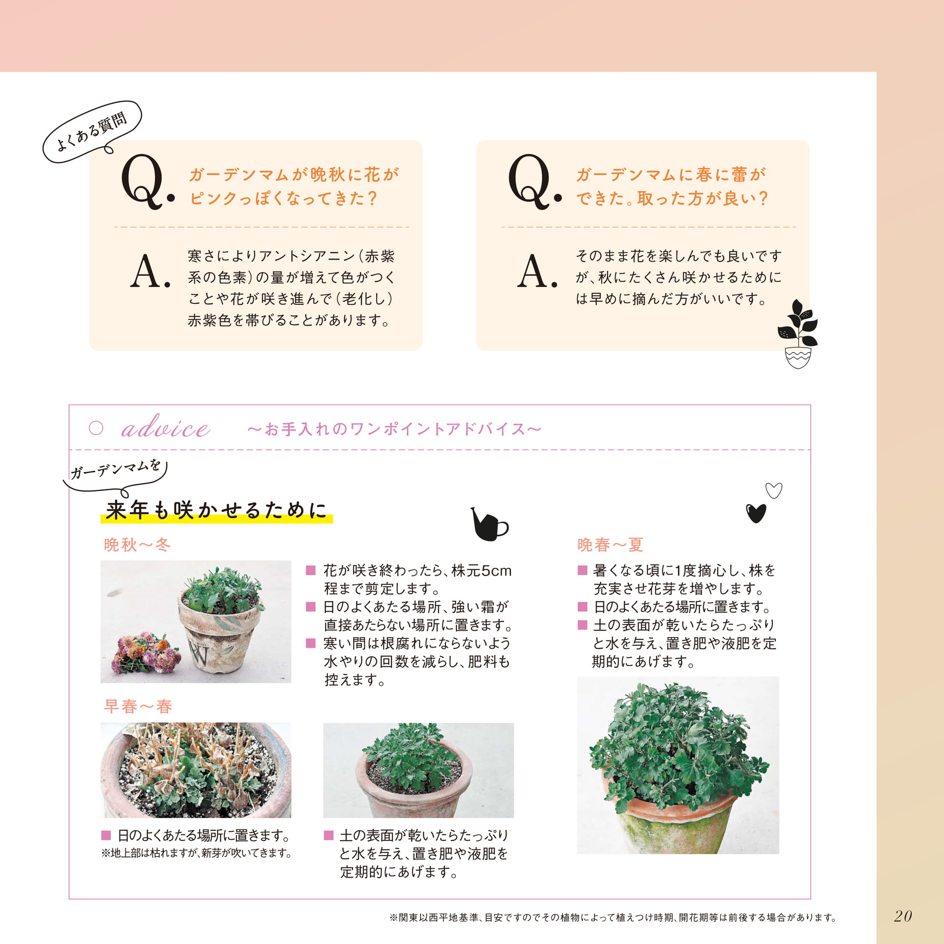 Page 21（21ページ目）