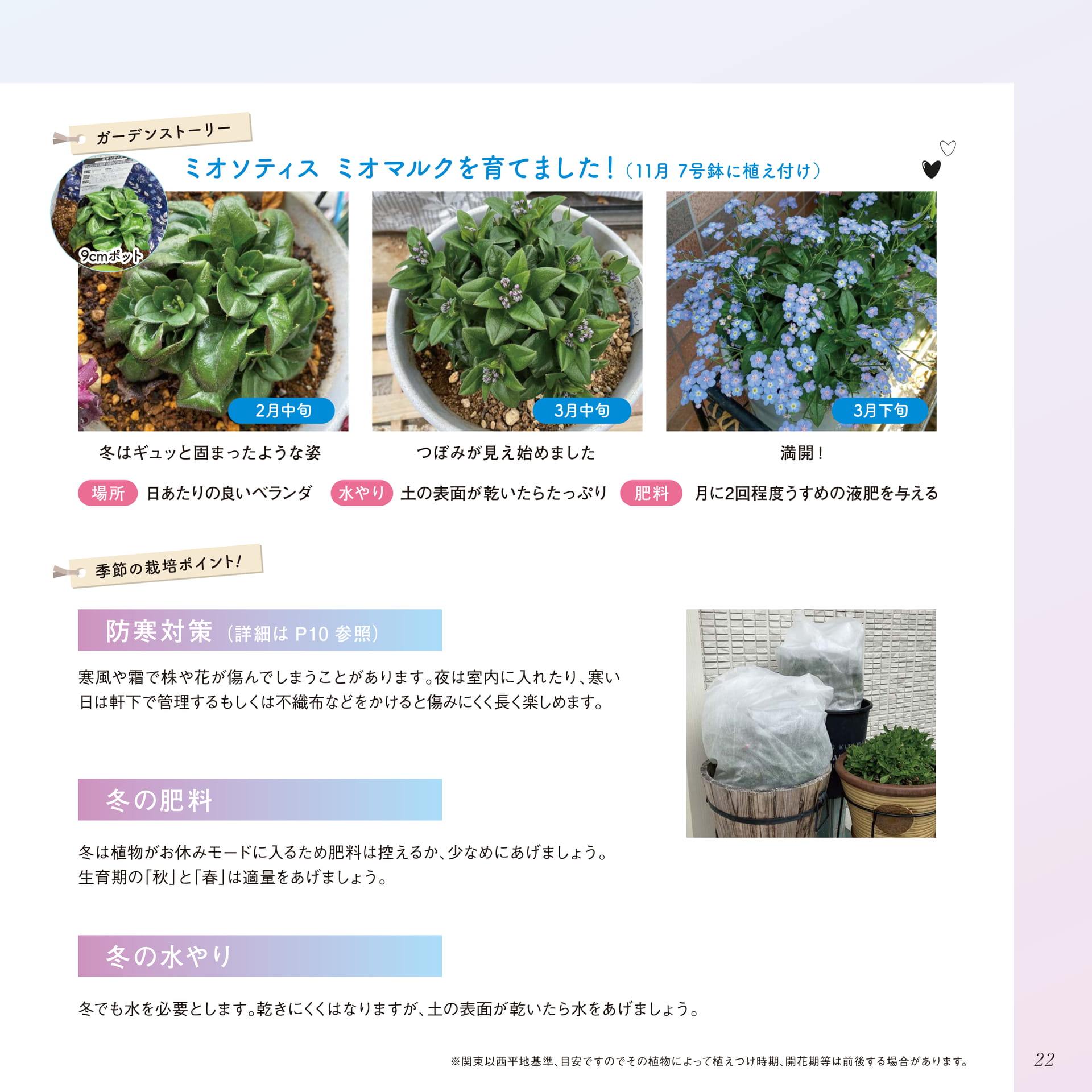 Page 23（23ページ目）