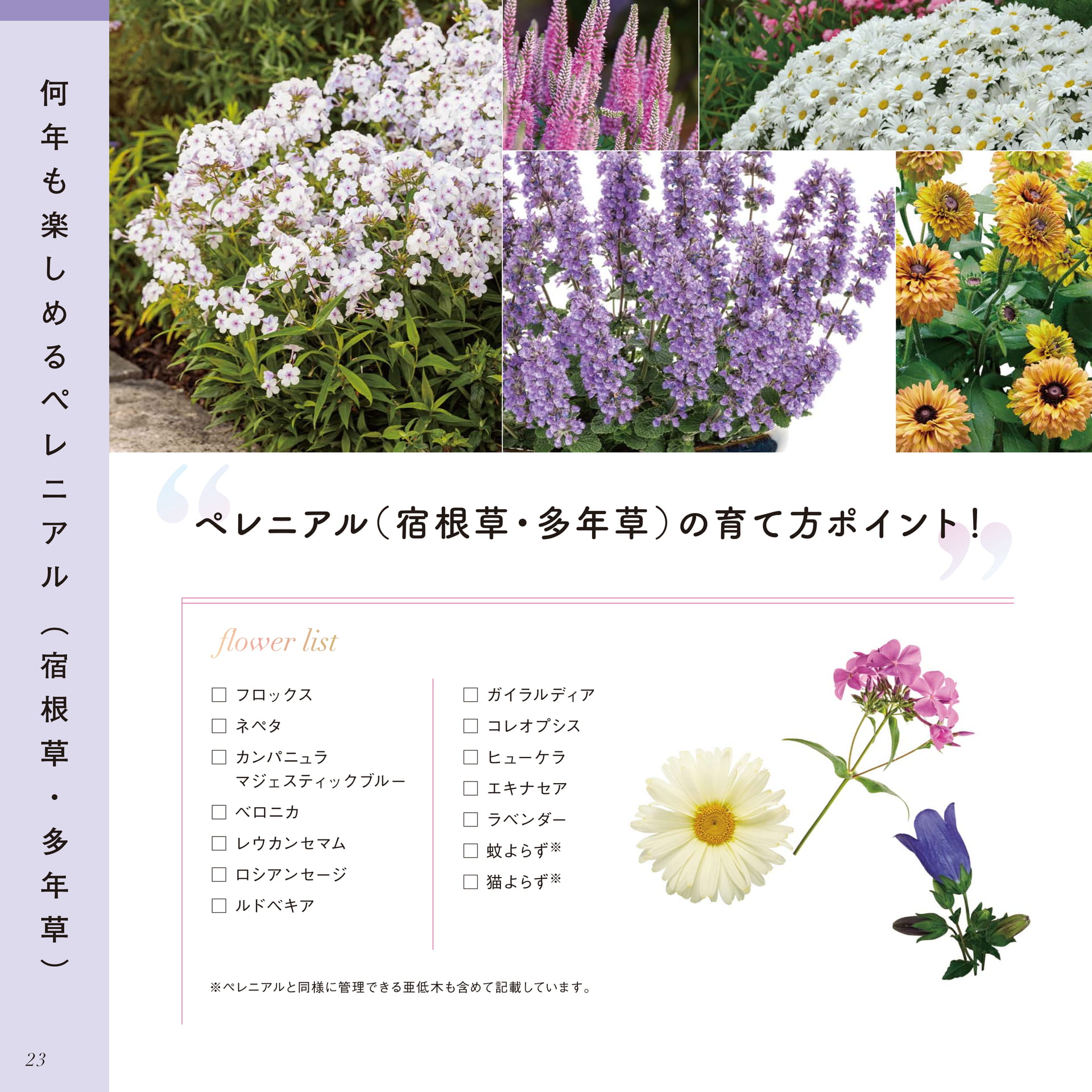 Page 24（24ページ目）