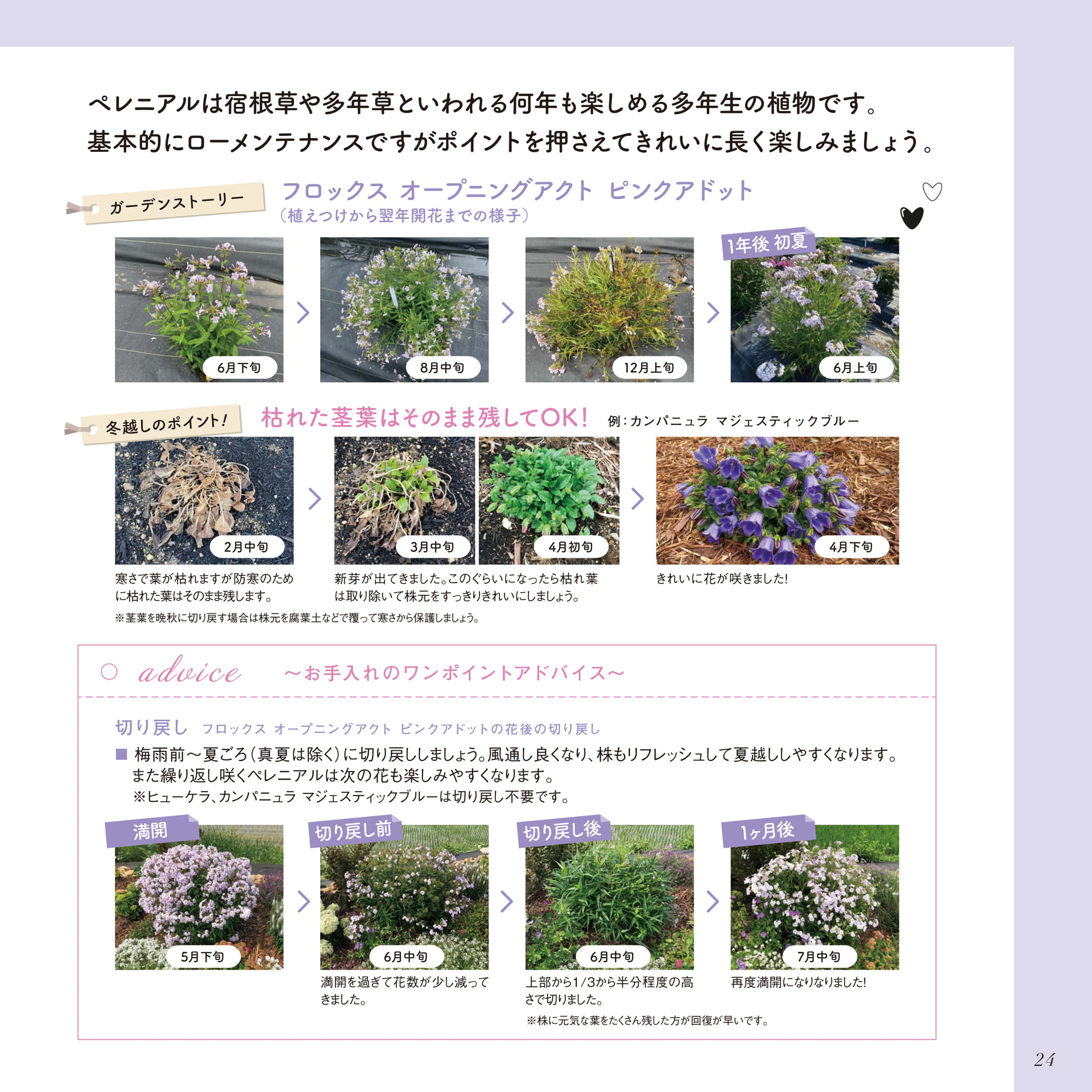 Page 25（25ページ目）