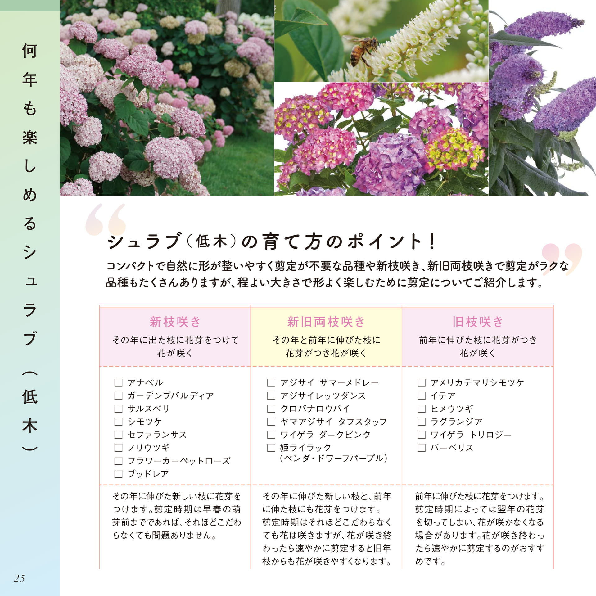 Page 26（26ページ目）