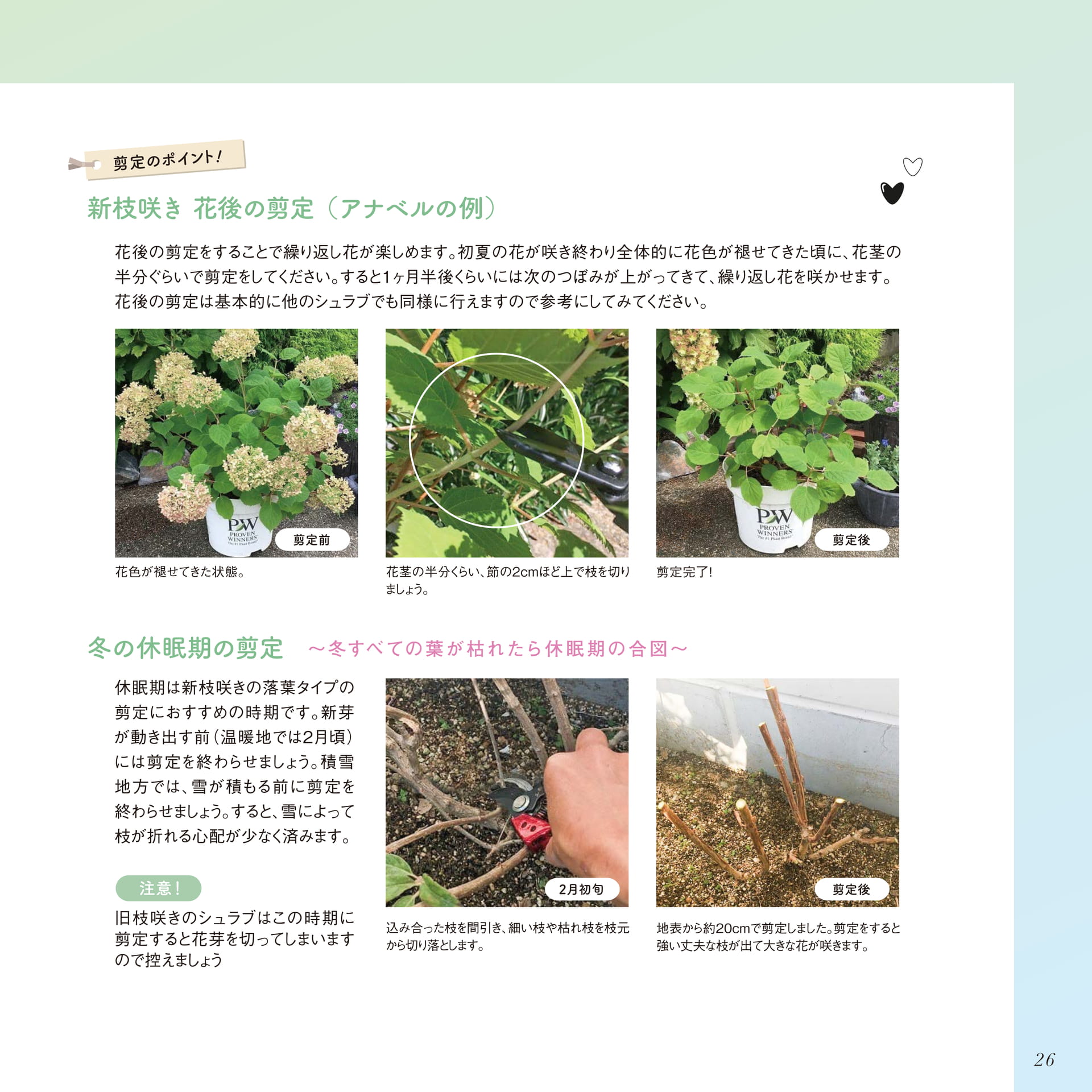 Page 27（27ページ目）