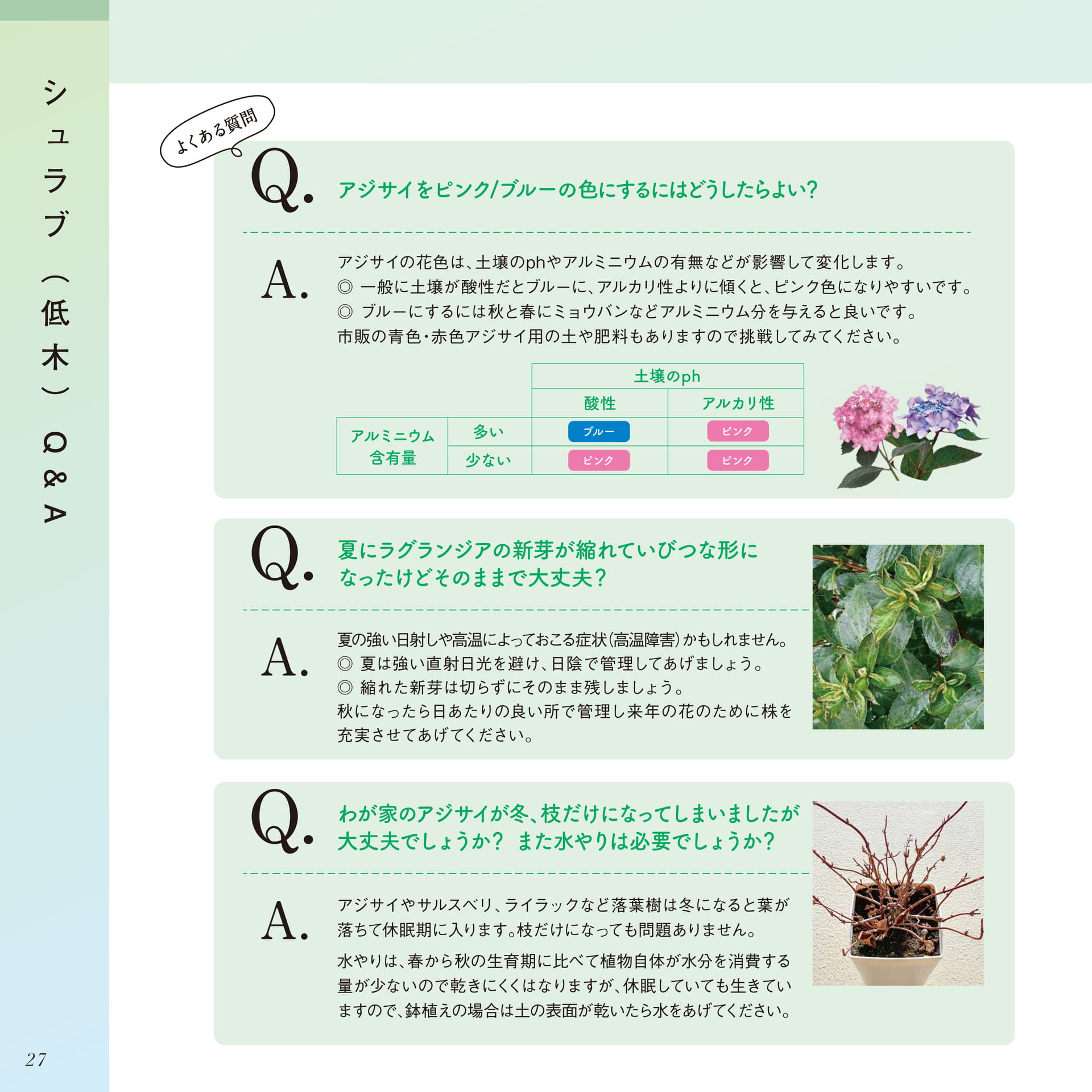 Page 28（28ページ目）