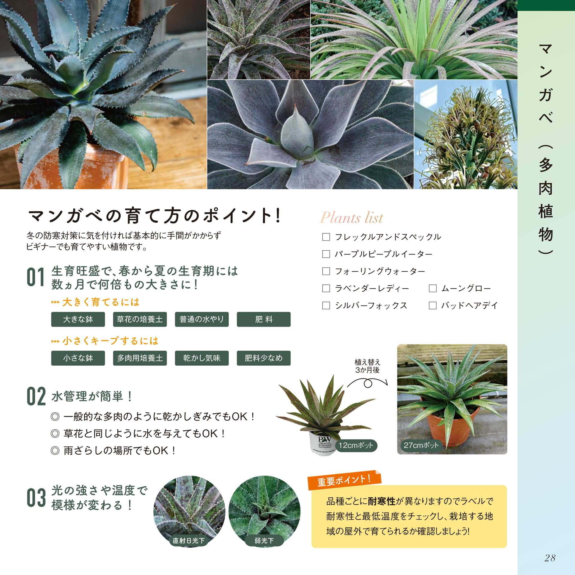 Page 29（29ページ目）