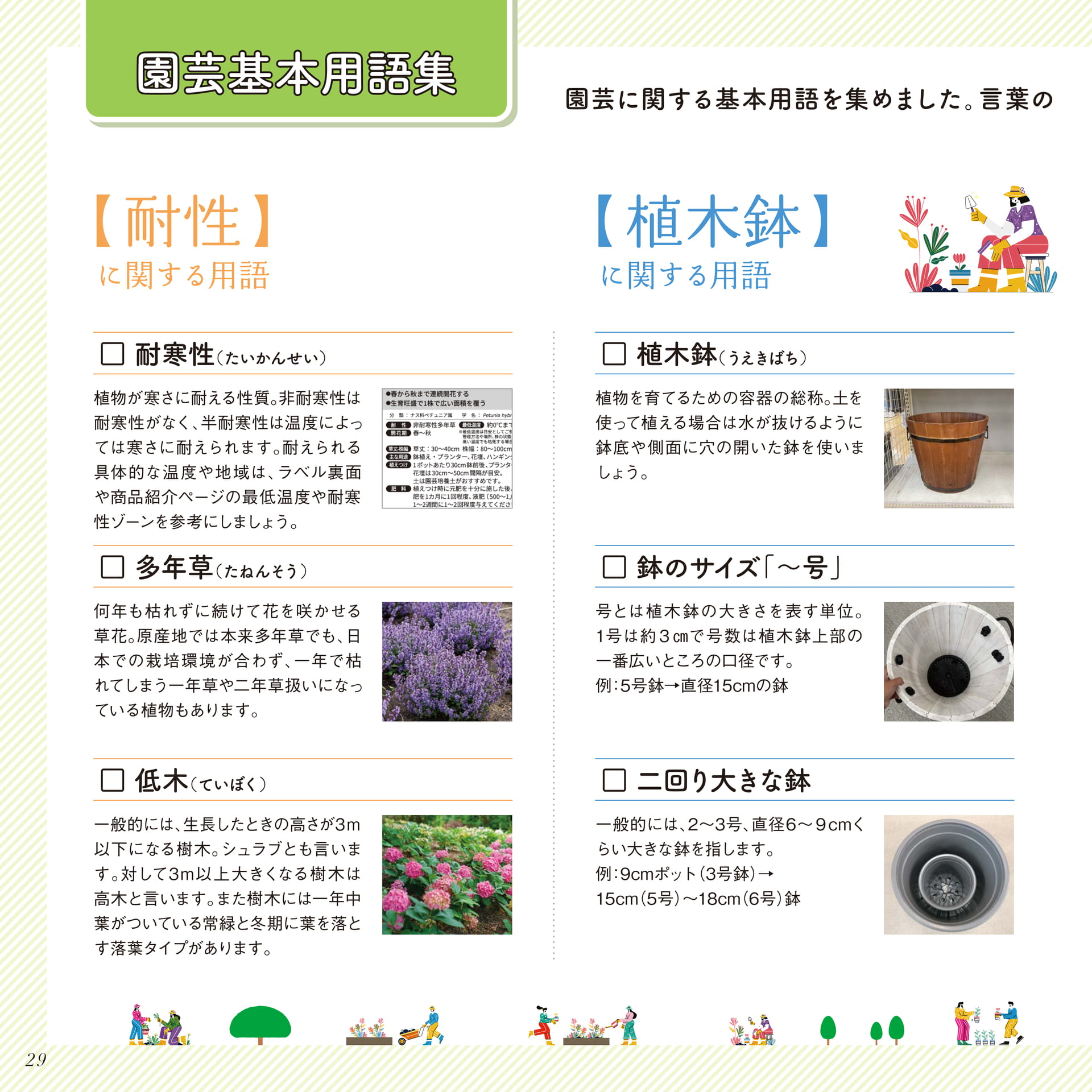 Page 30（30ページ目）