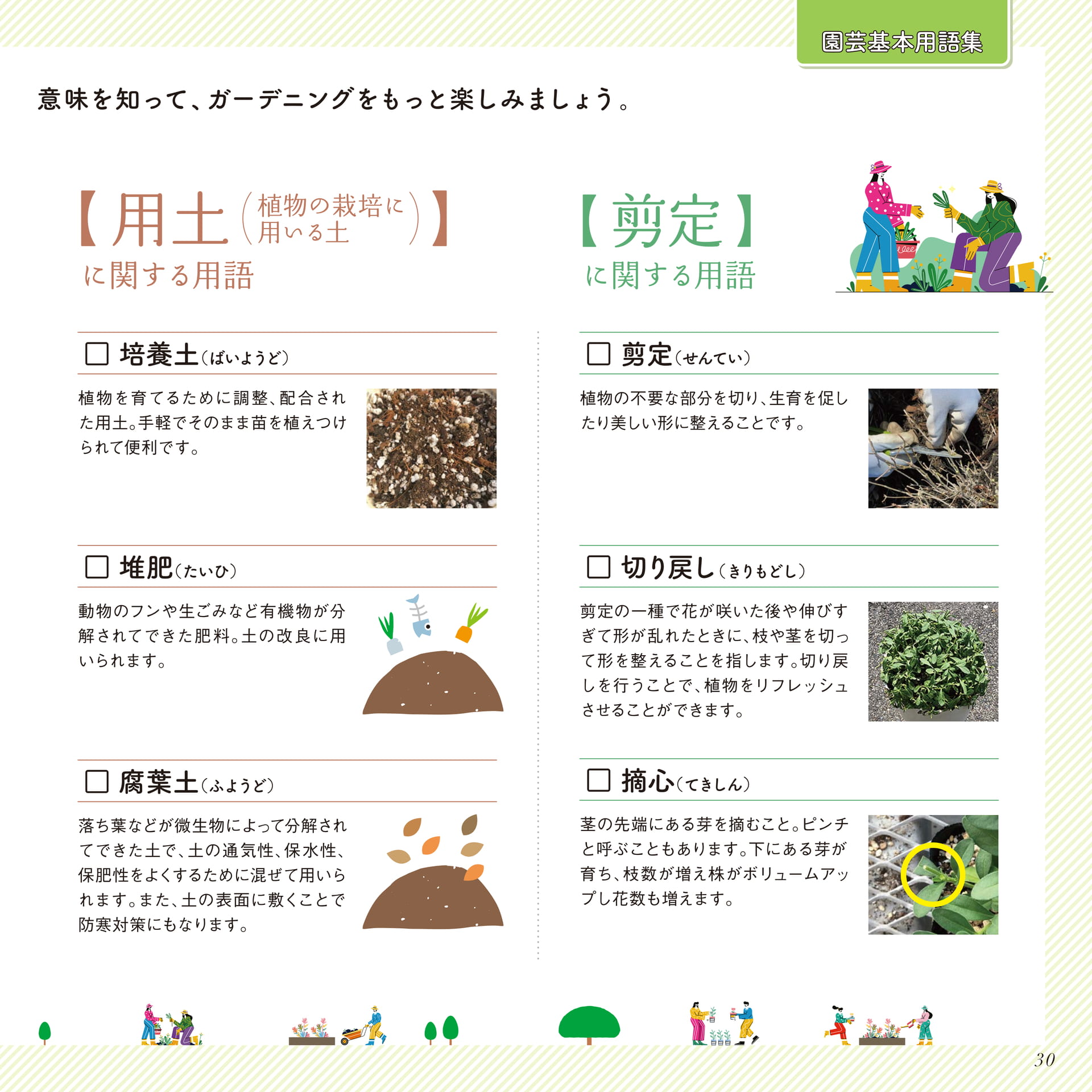 Page 31（31ページ目）