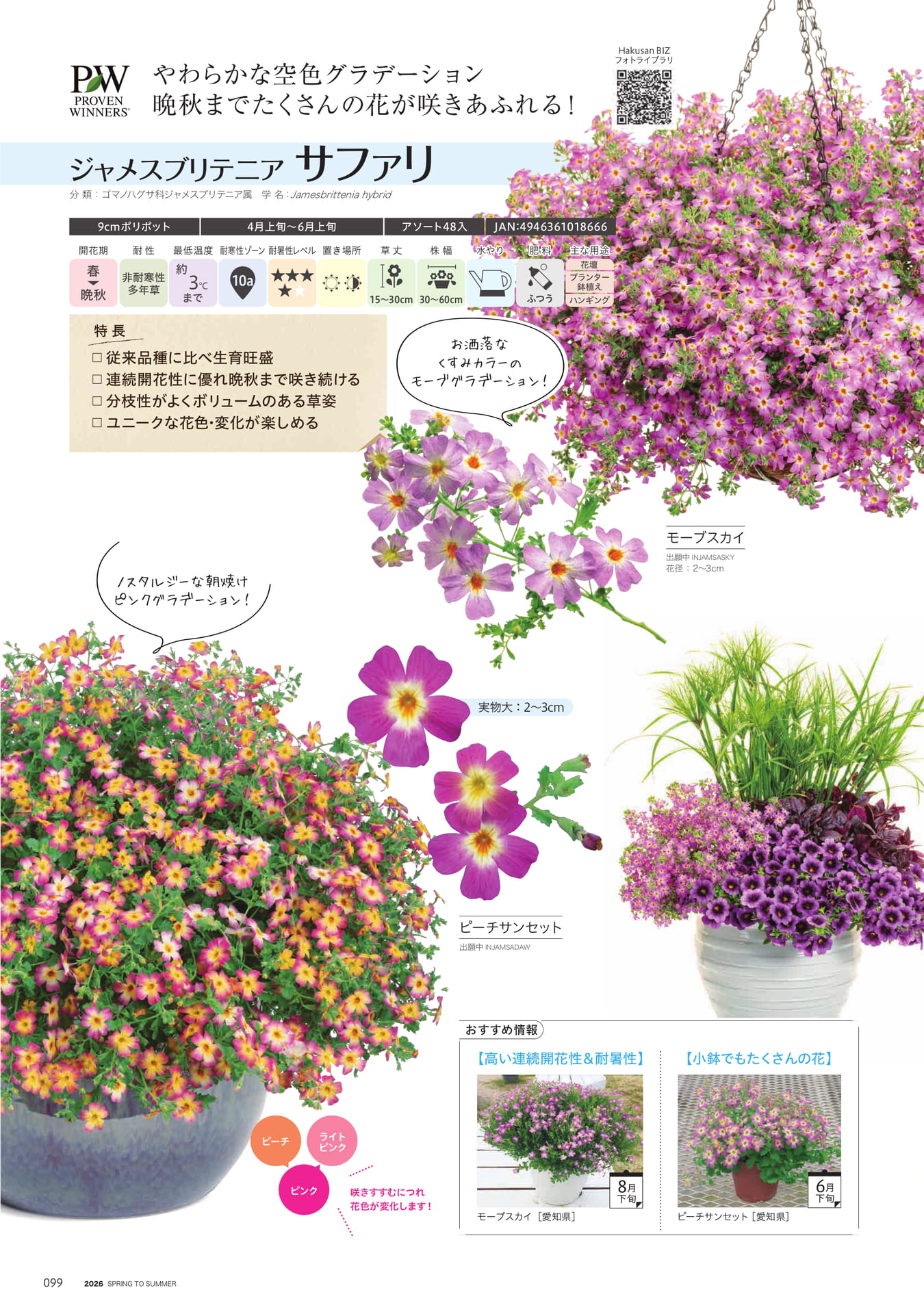 Page 100（100ページ目）