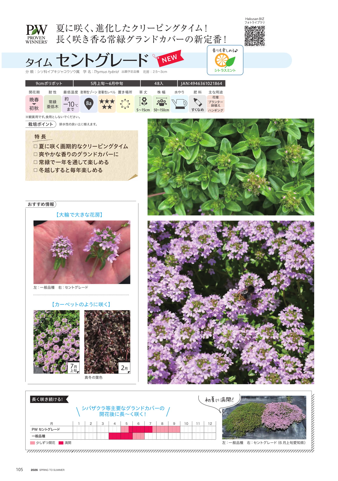 Page 106（106ページ目）