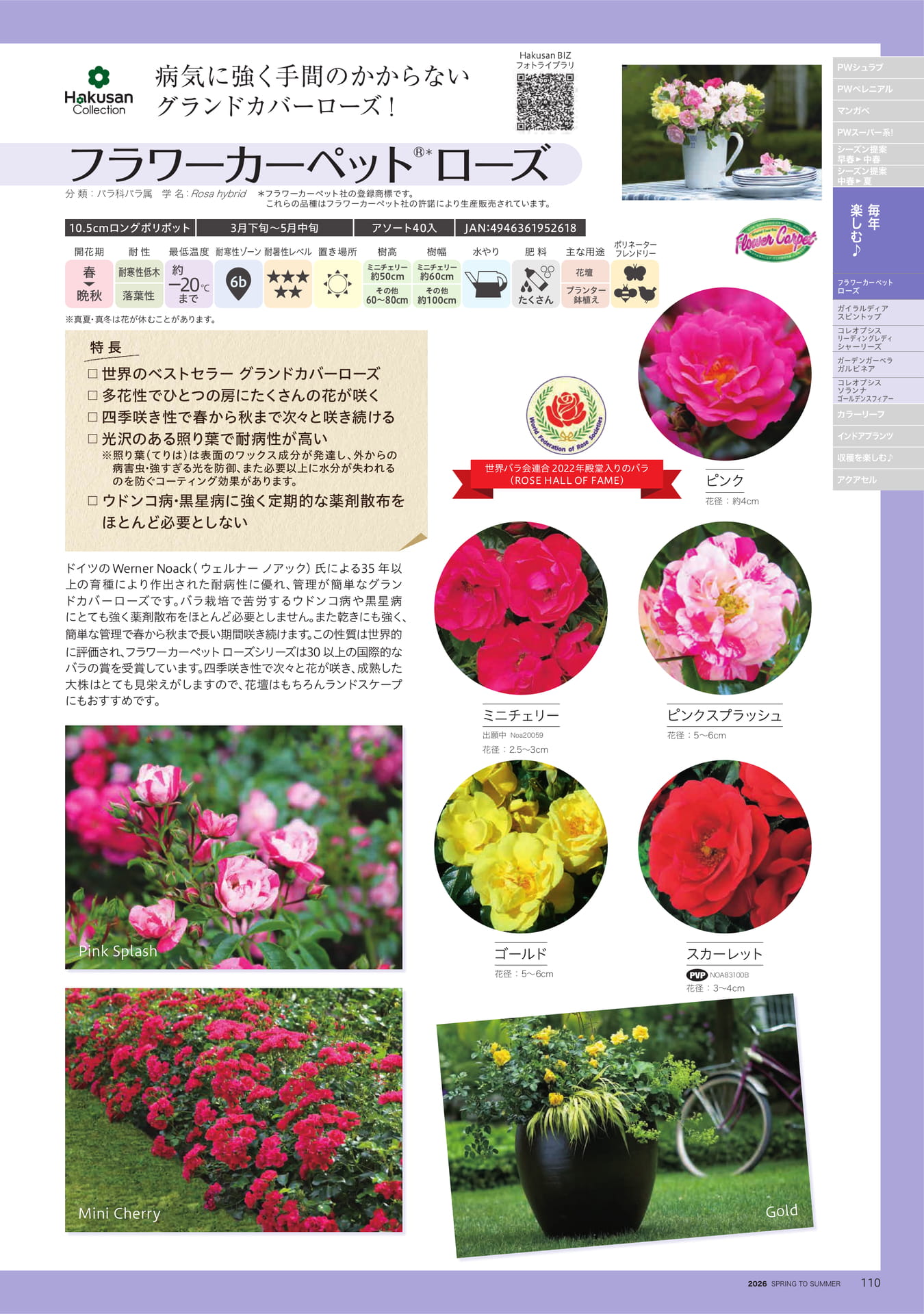 Page 111（111ページ目）