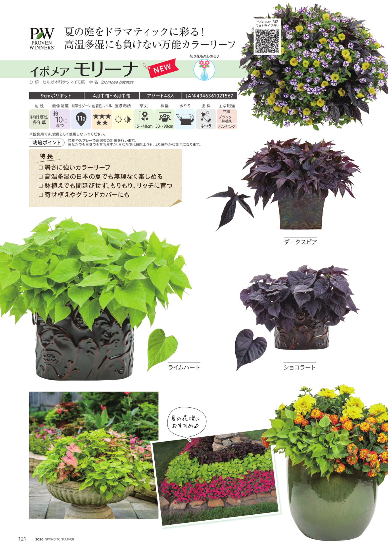 Page 122（122ページ目）