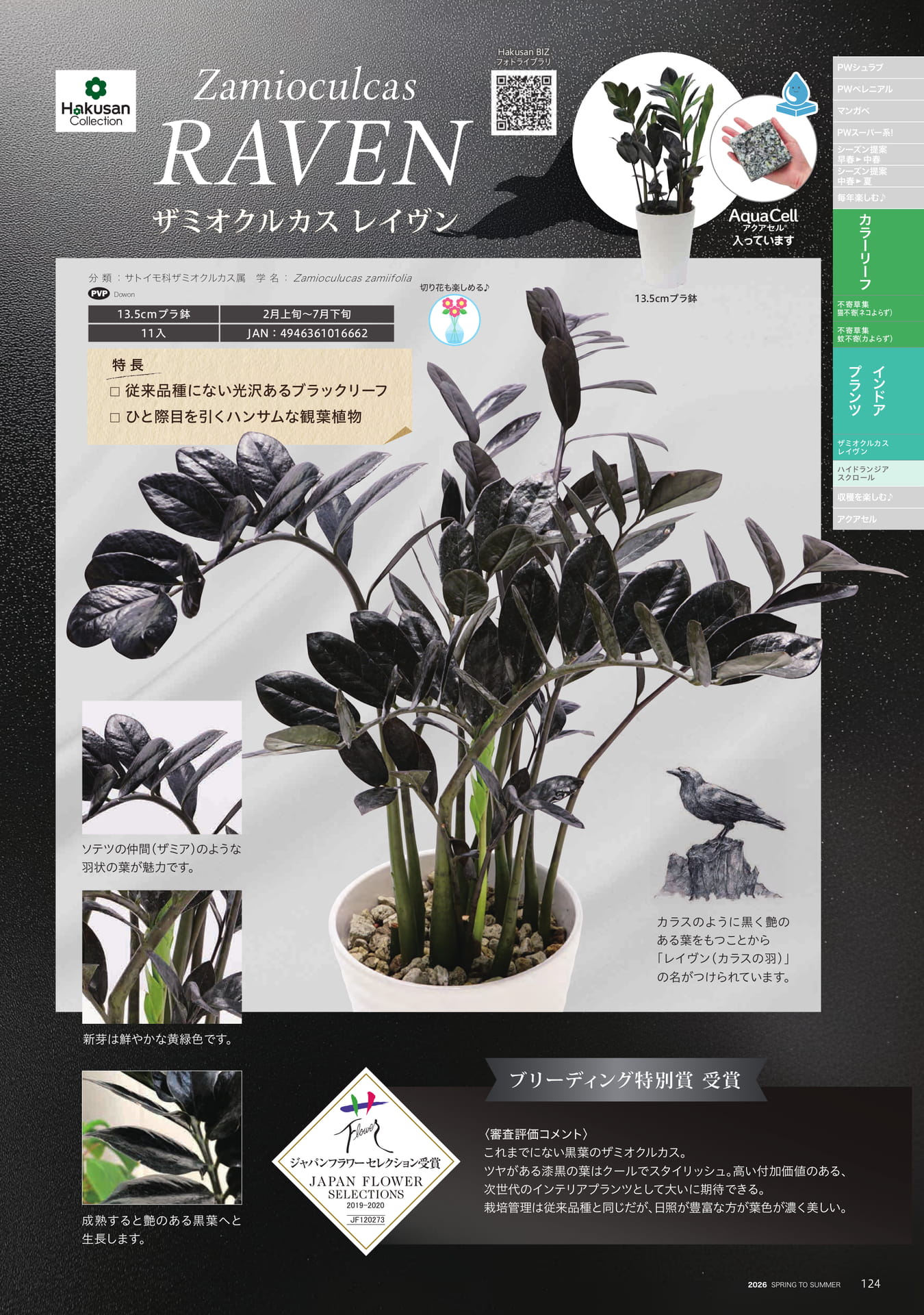 Page 125（125ページ目）