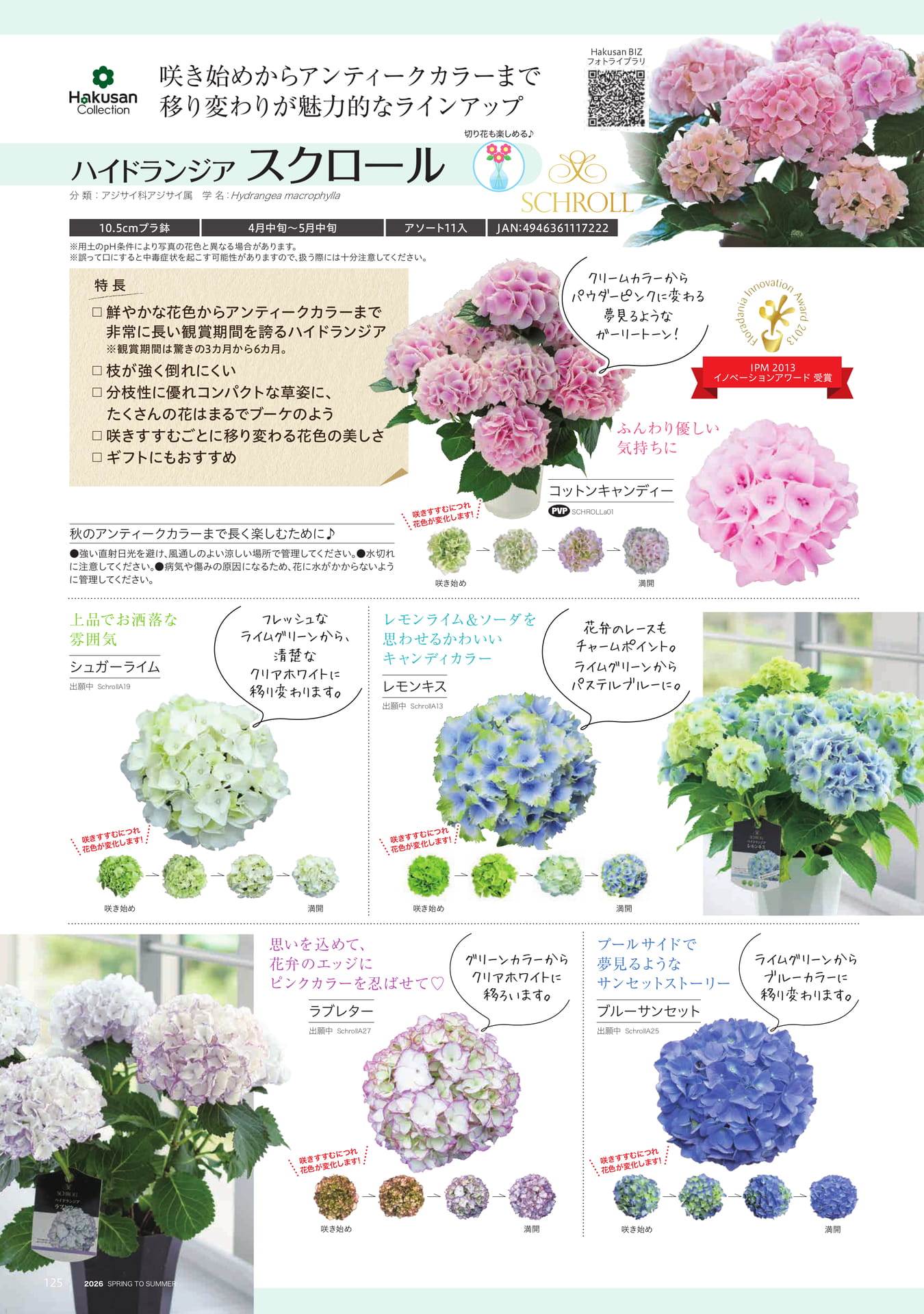 Page 126（126ページ目）