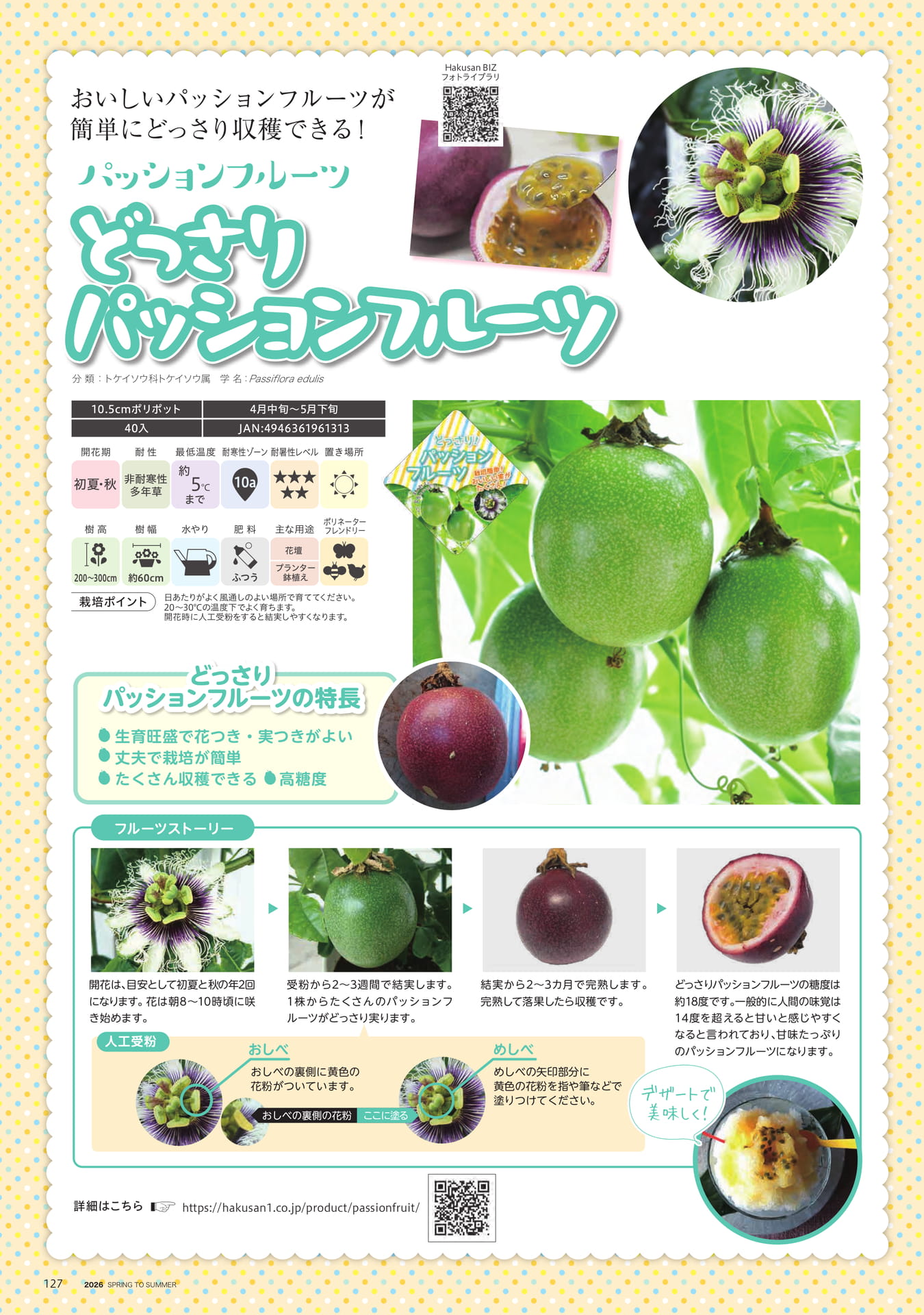 Page 128（128ページ目）