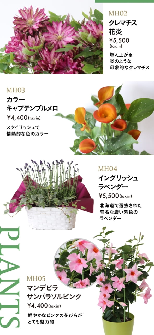 Page 21（21ページ目）