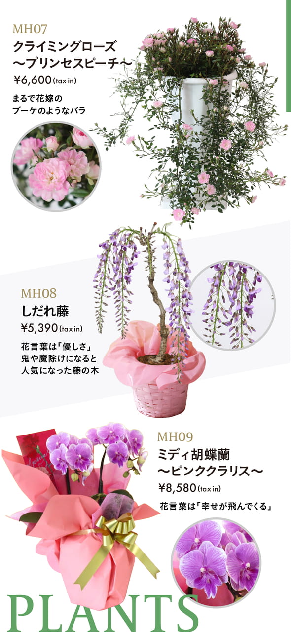 Page 23（23ページ目）