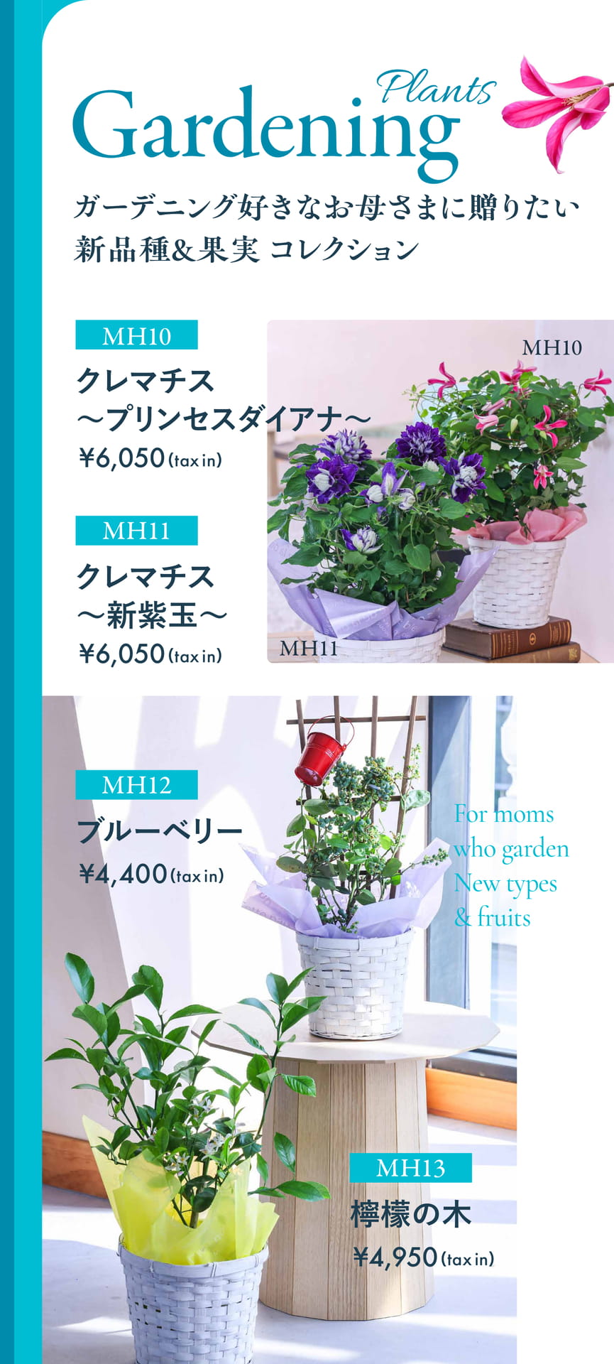 Page 13(13ページ目)