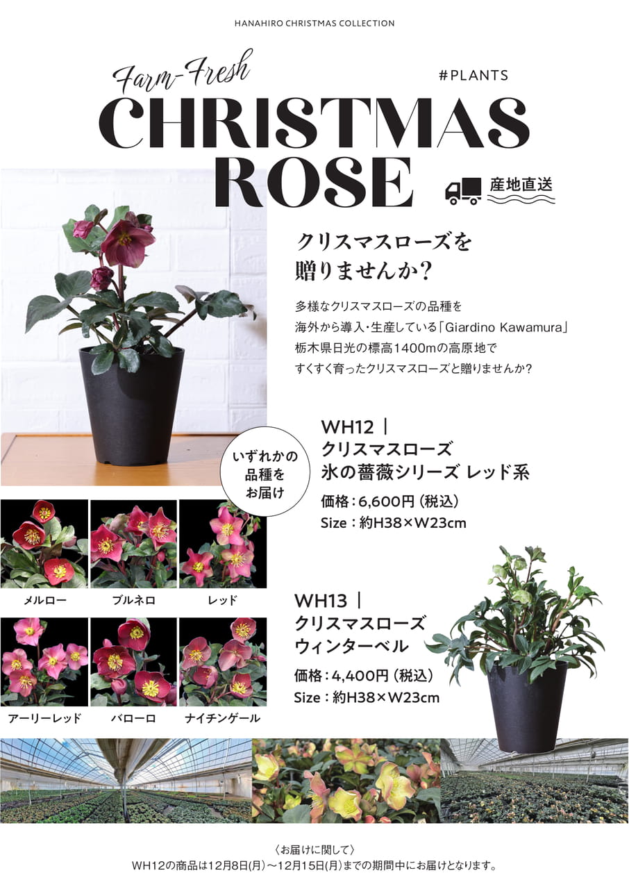 Page 17(17ページ目)