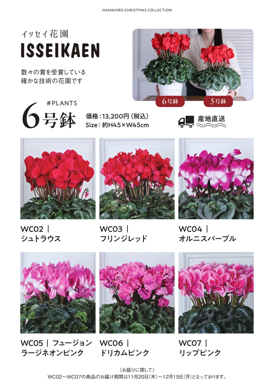 Page 19(19ページ目)