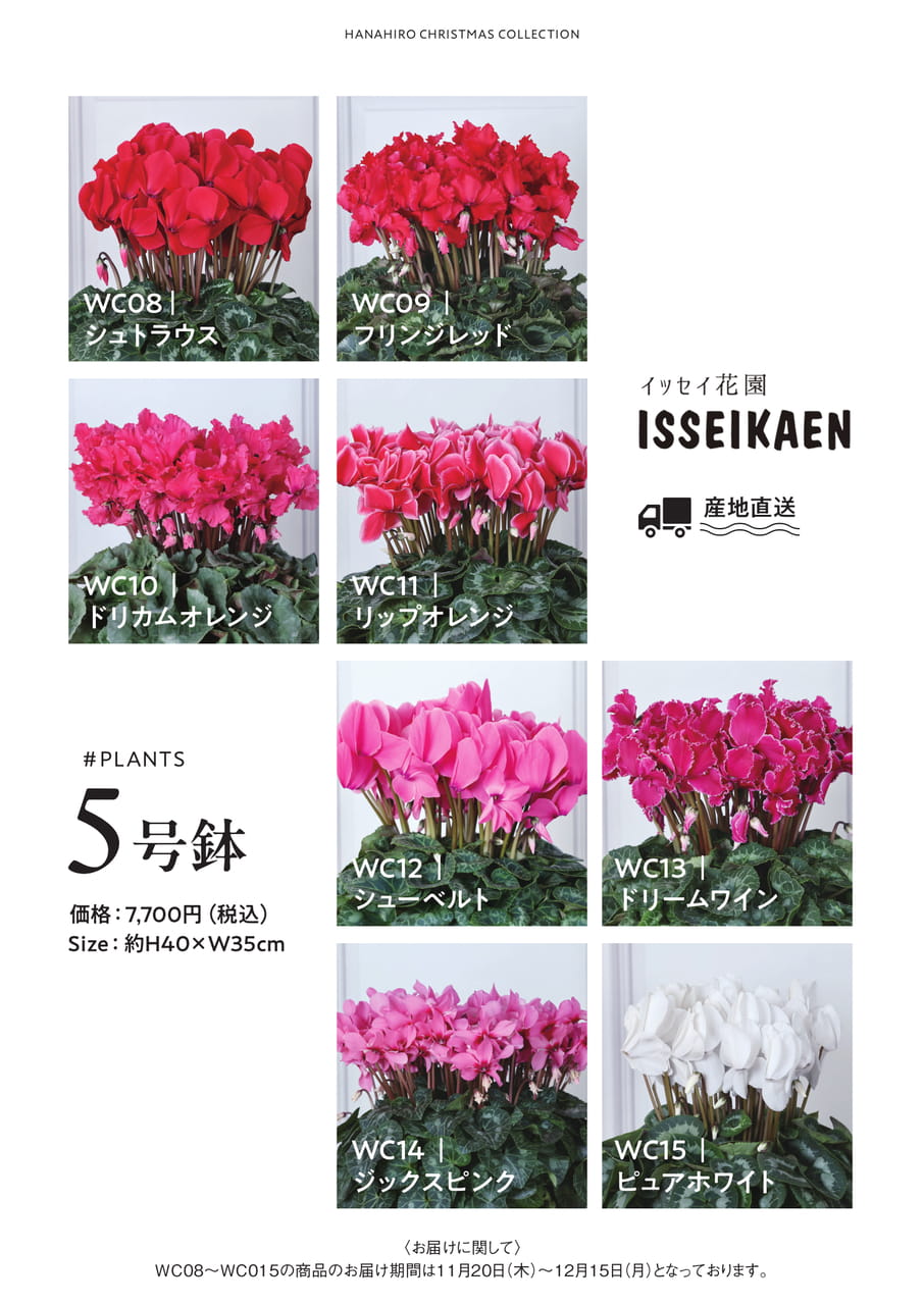 Page 20(20ページ目)