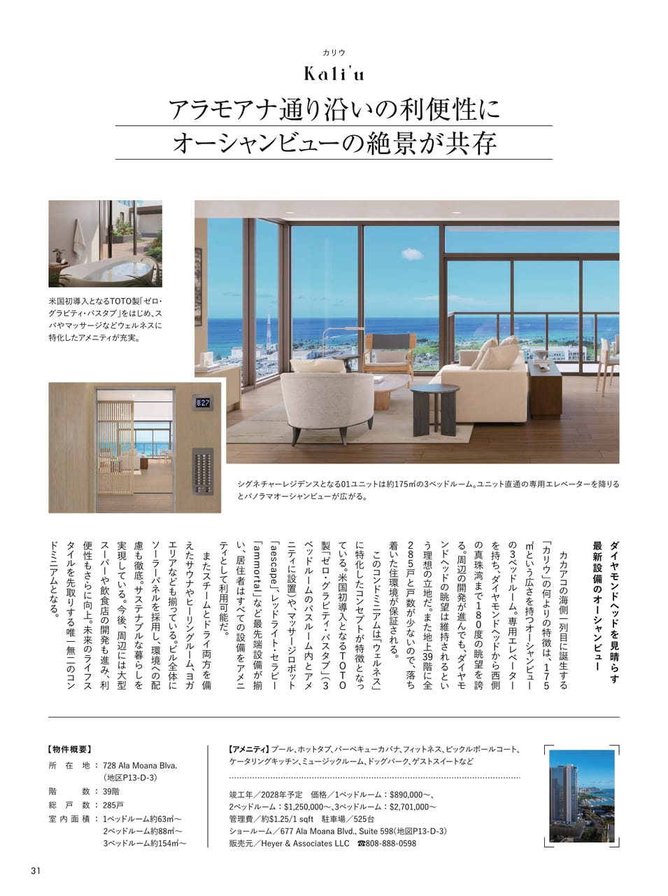Page 31（31ページ目）