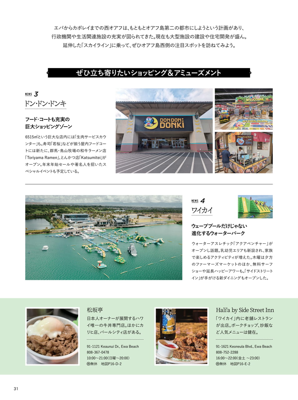Page 31（31ページ目）