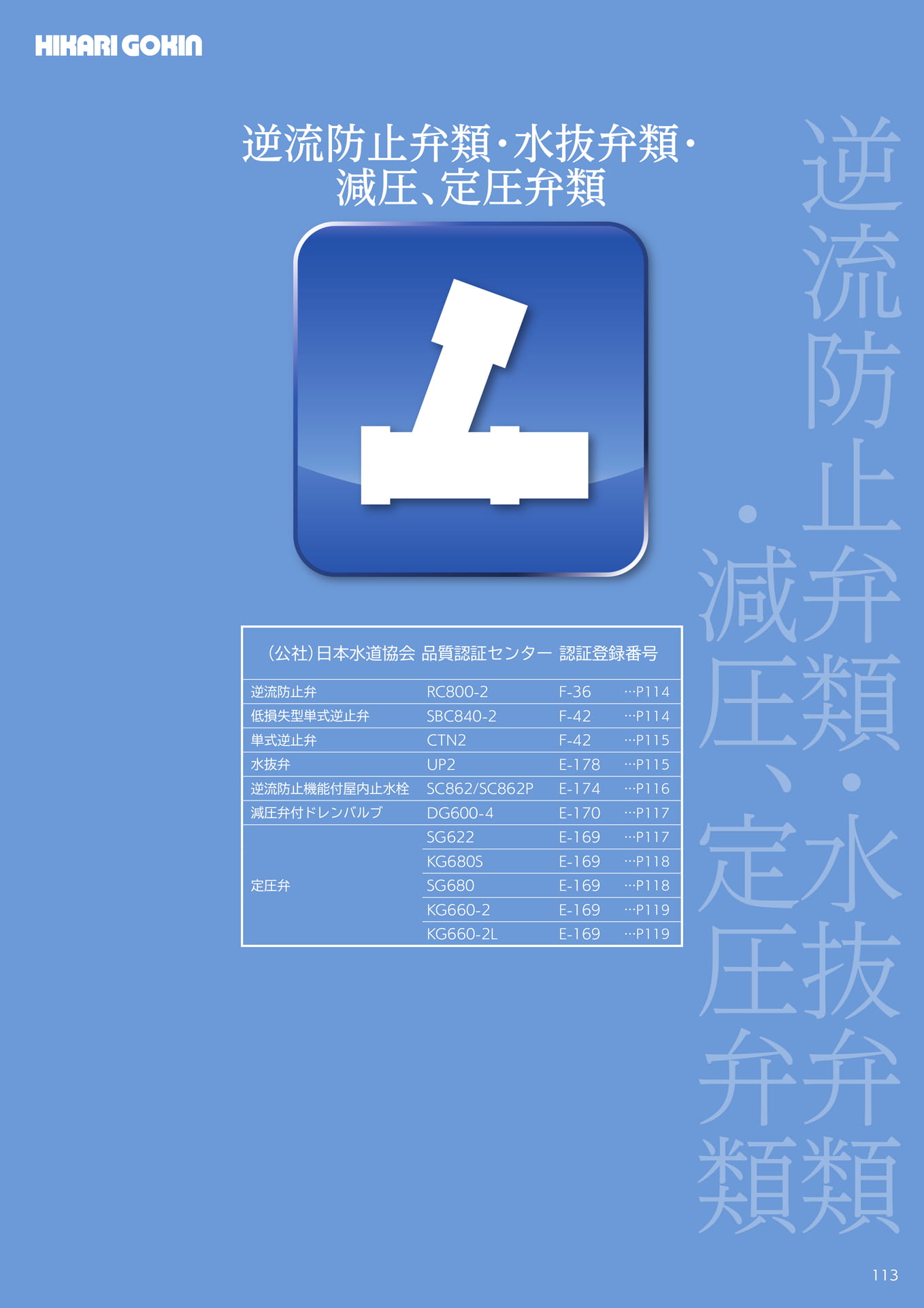 Page 113(113ページ目)