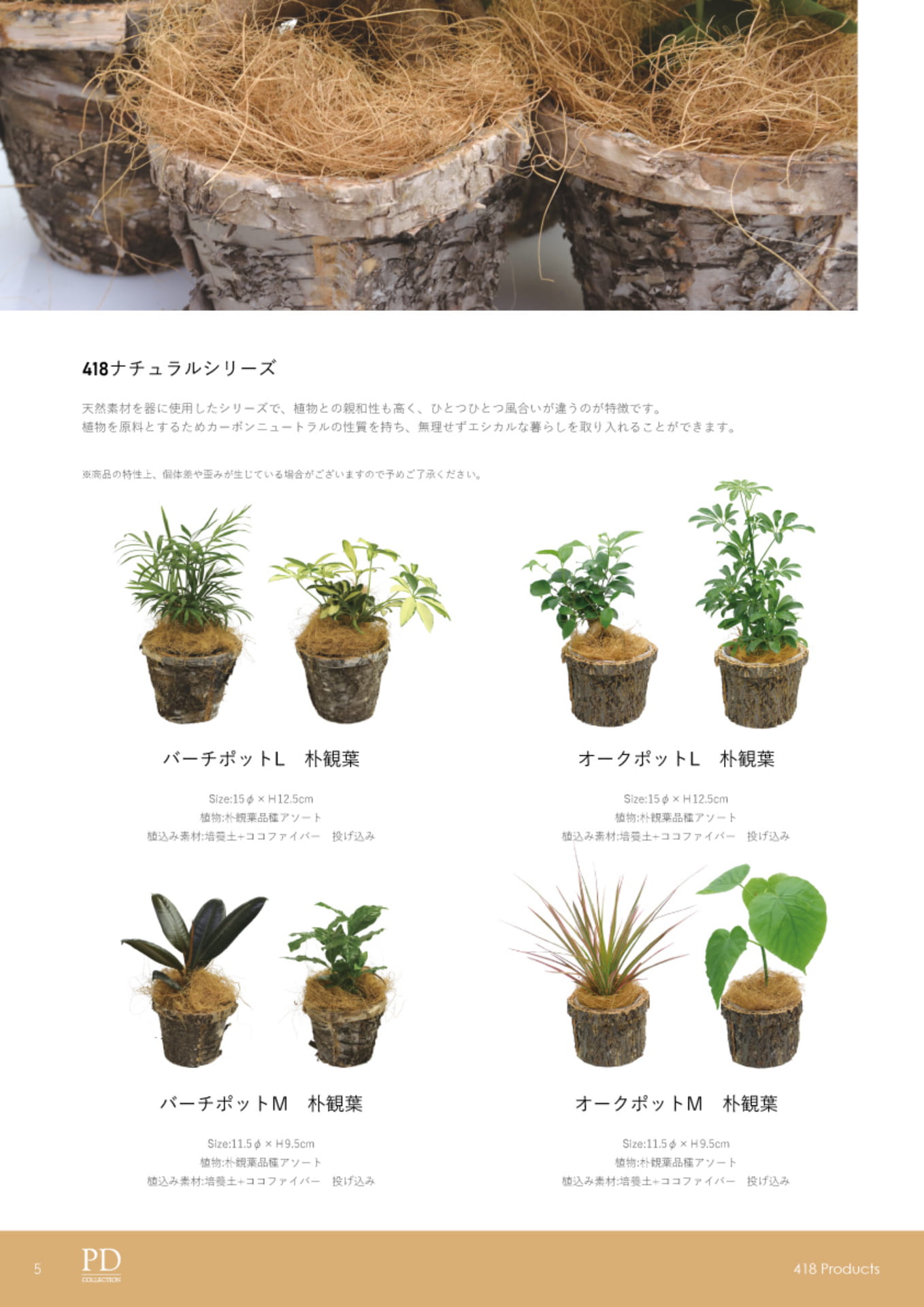 ページ（6ページ目）