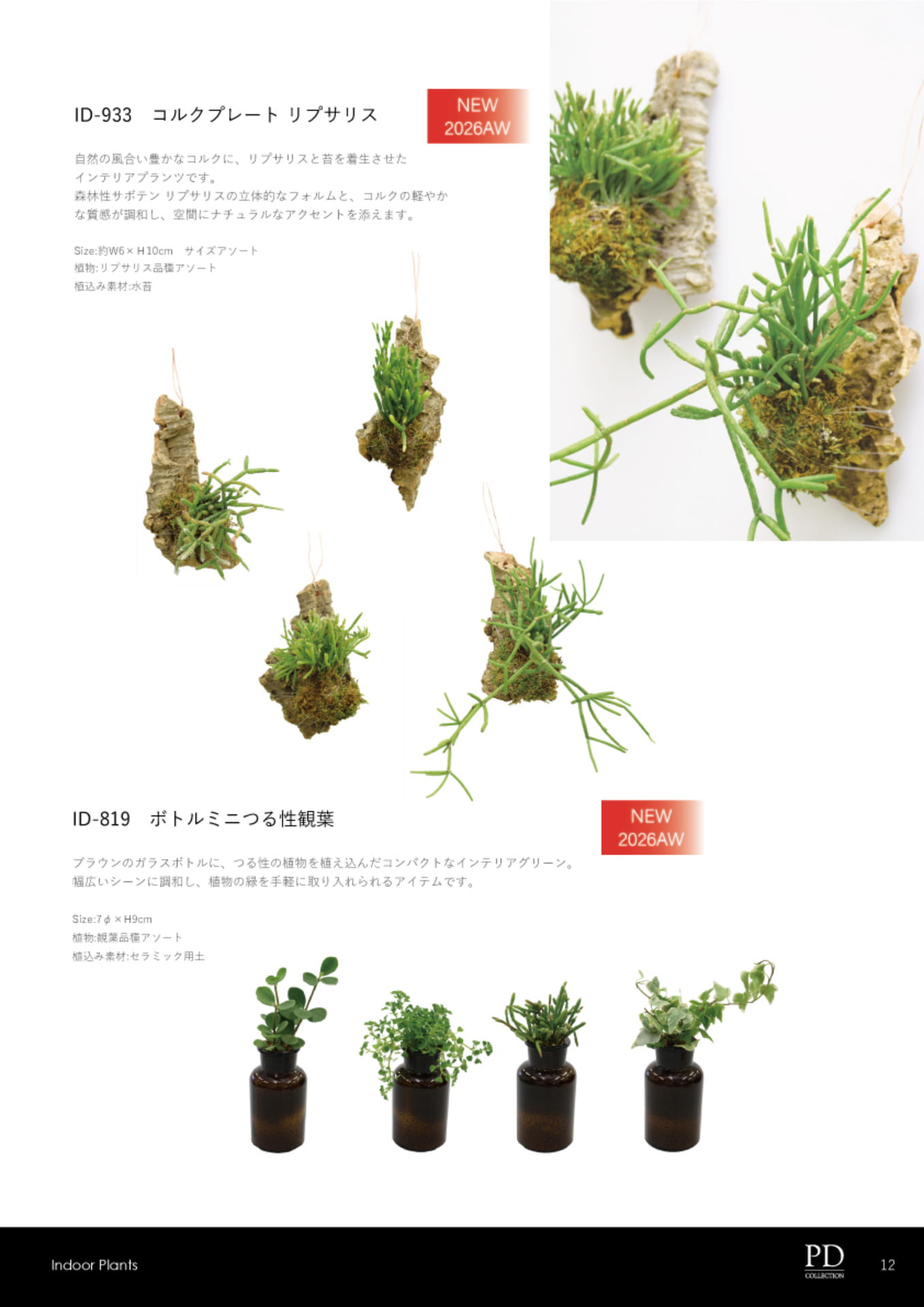 ページ（13ページ目）