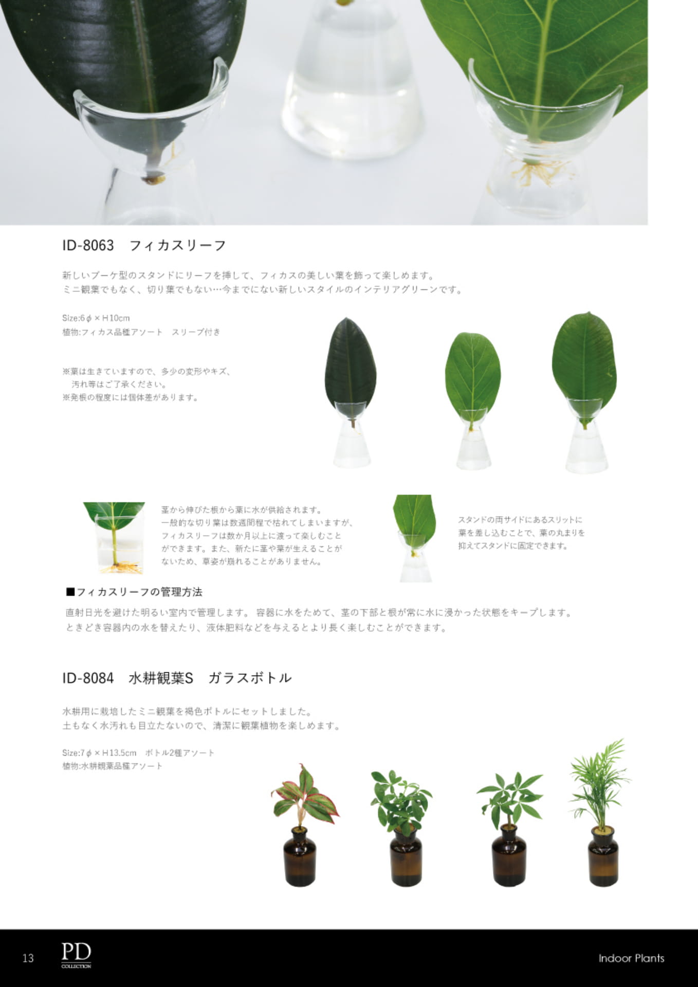 ページ（14ページ目）