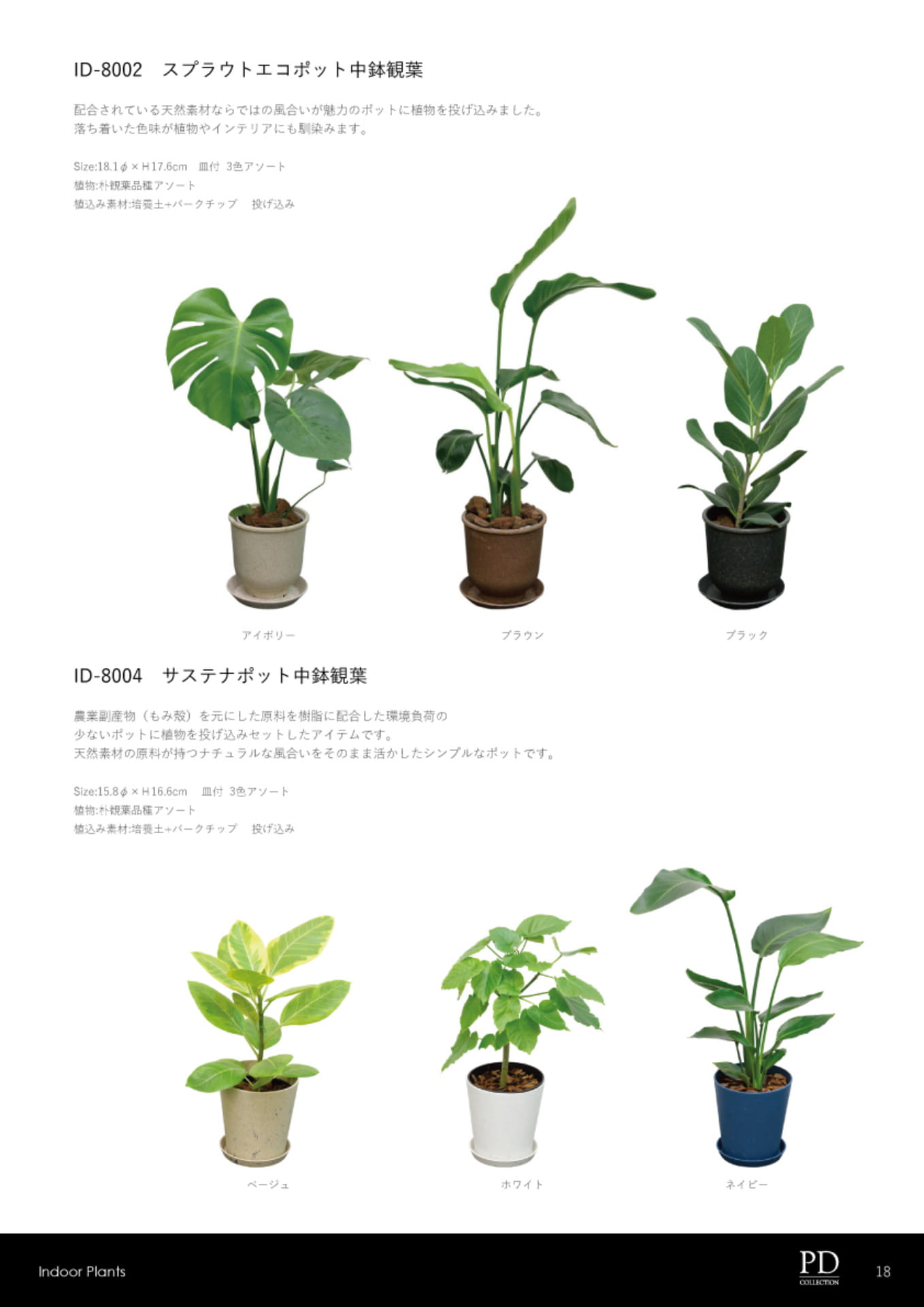 ページ（19ページ目）